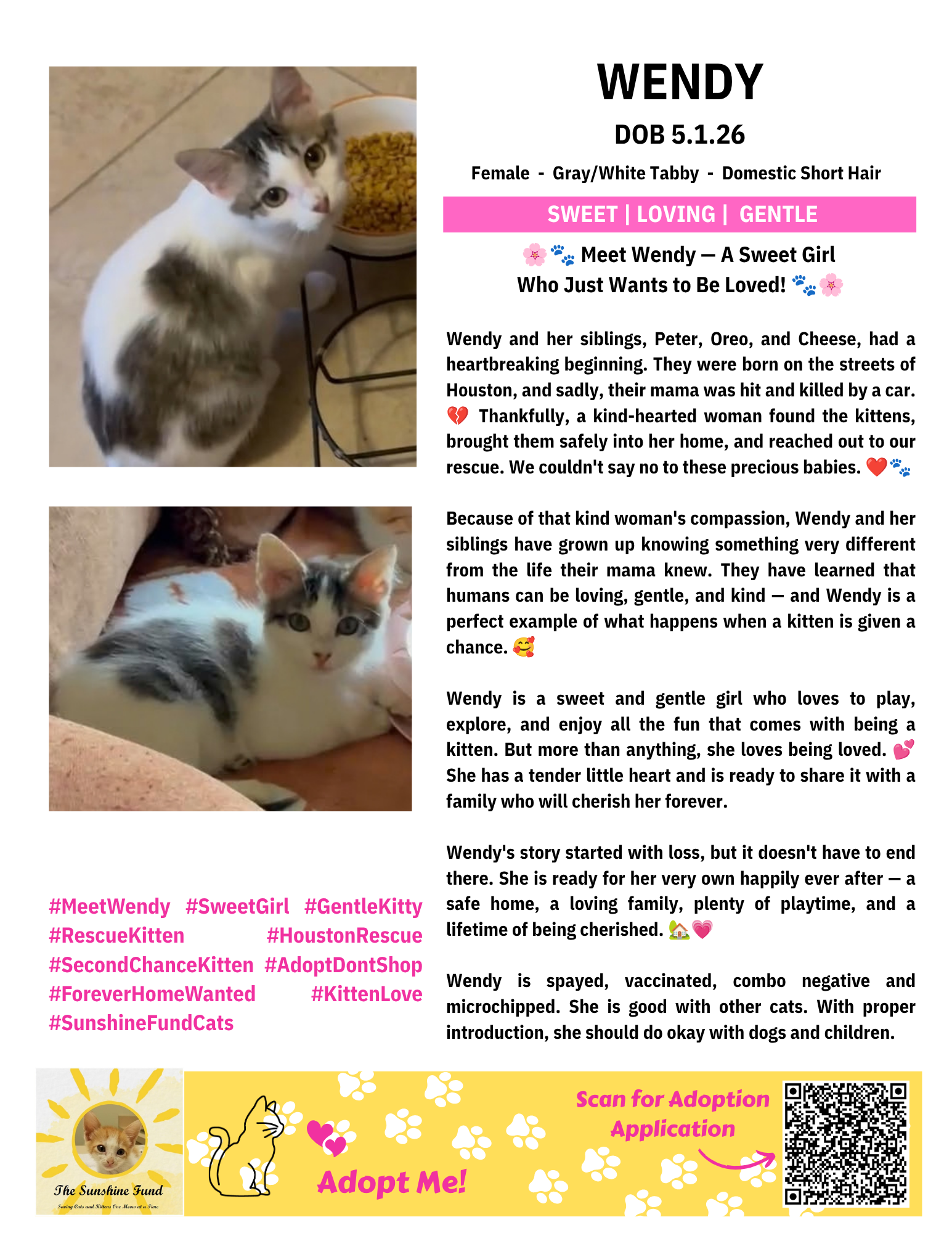 OFFICIAL_Cat Bios for Lounge_TSF - Wendy.png