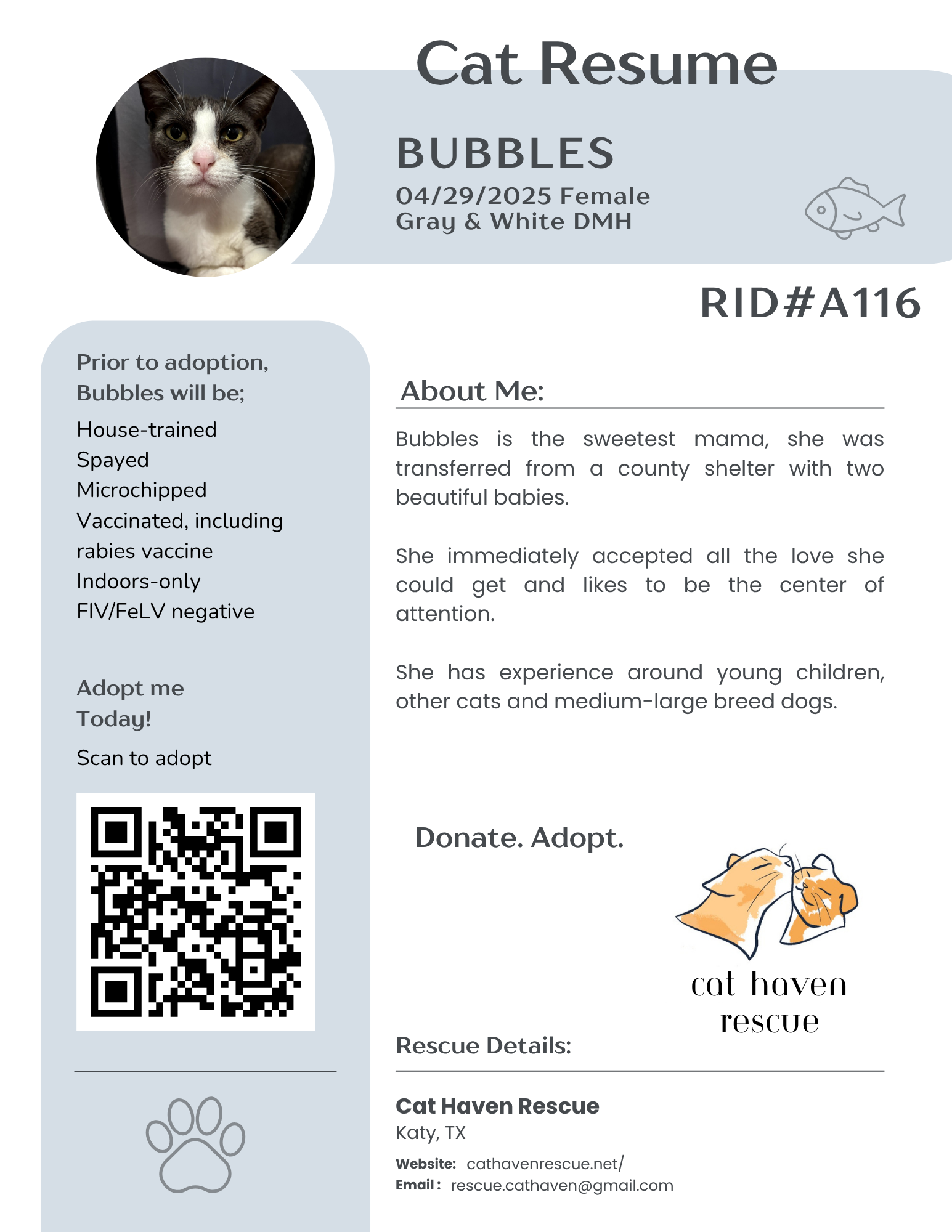 Bubbles.png