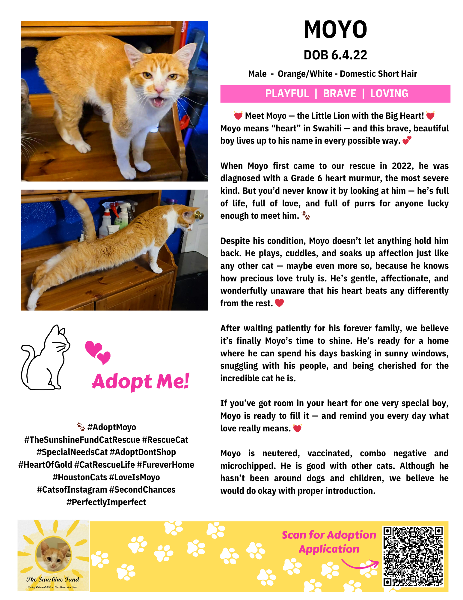 OFFICIAL_Cat Bios for Lounge_TSF.zip - Moyo.png