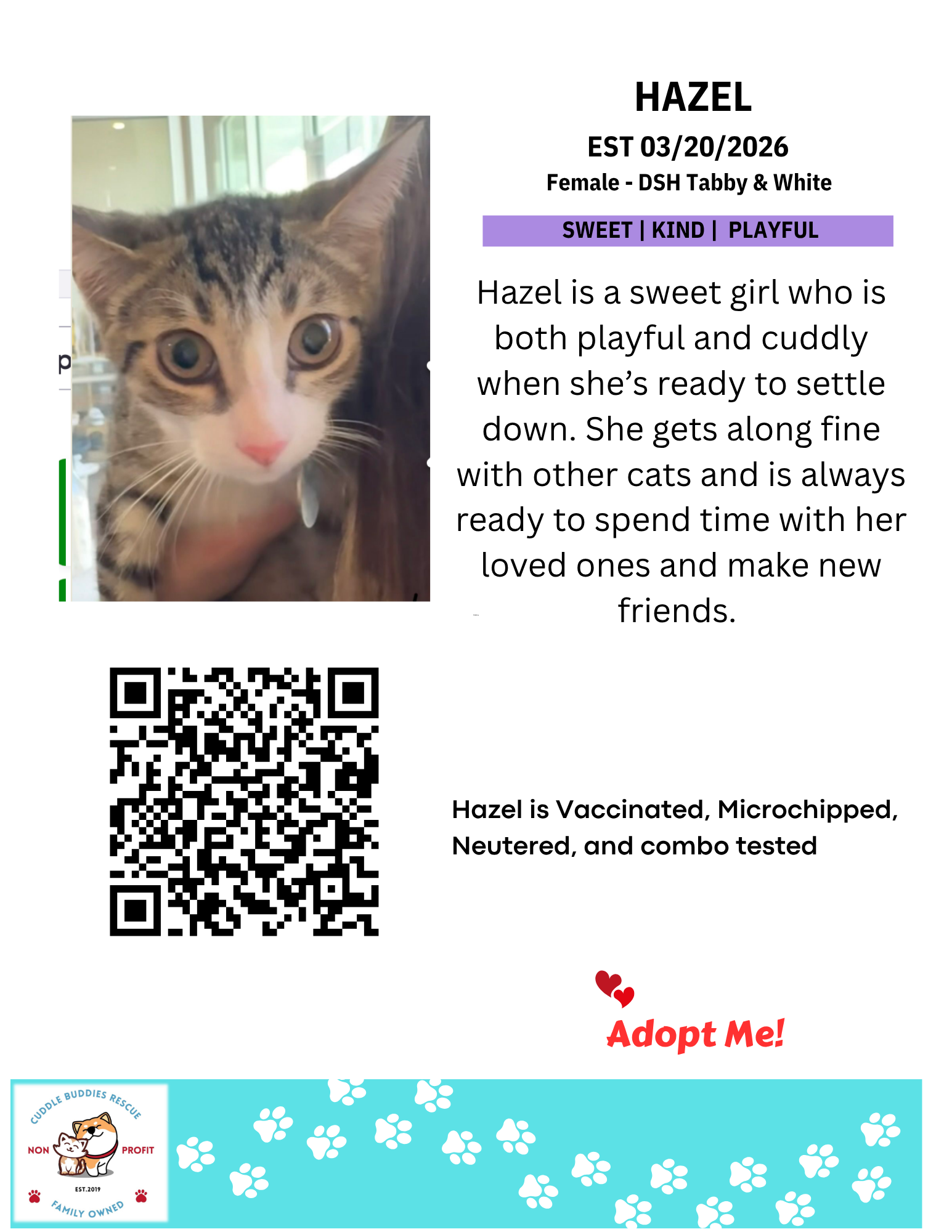 Cat Bios for CBR - TEMPLATE CBR (3).png