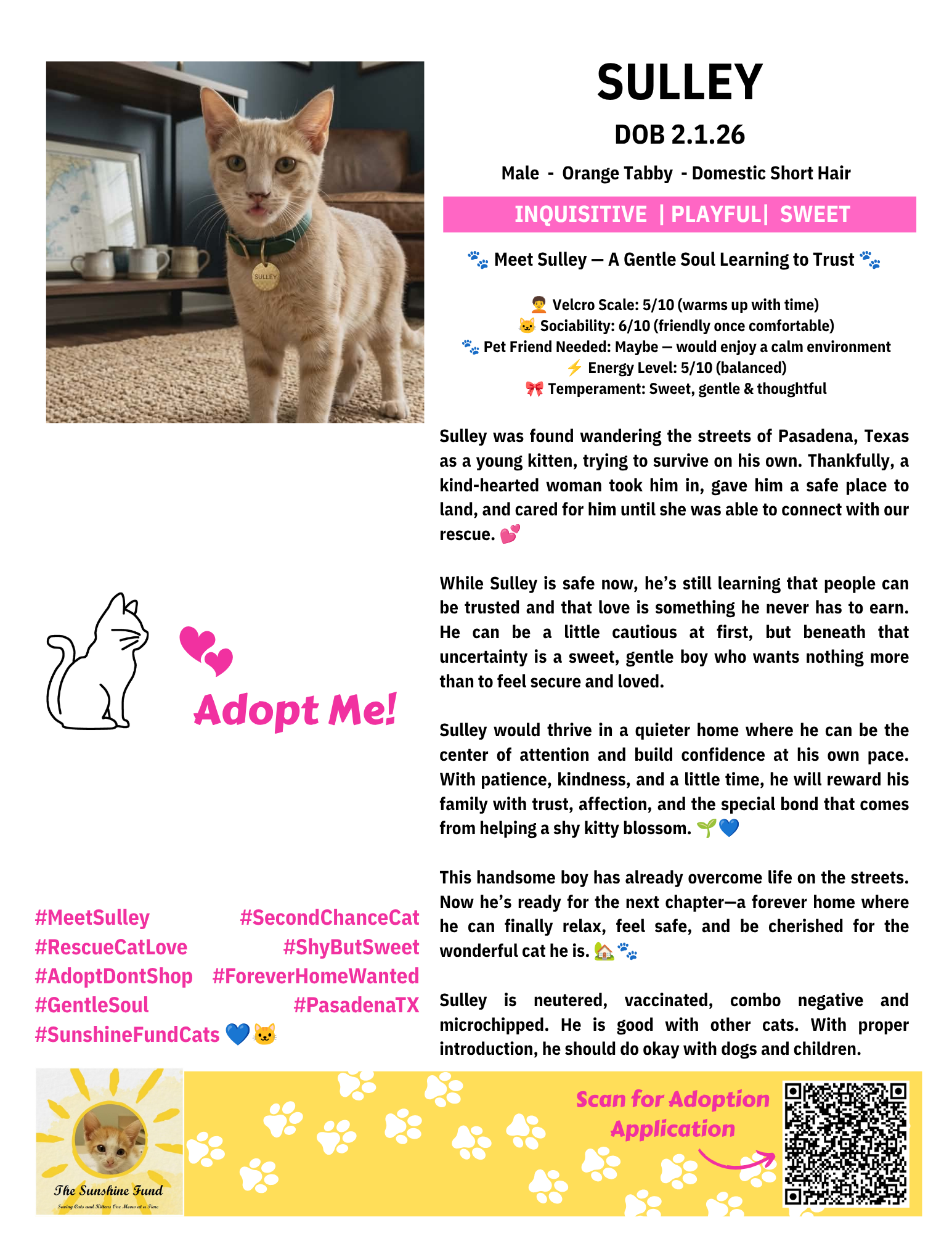 OFFICIAL_Cat Bios for Lounge_TSF - Sulley.png