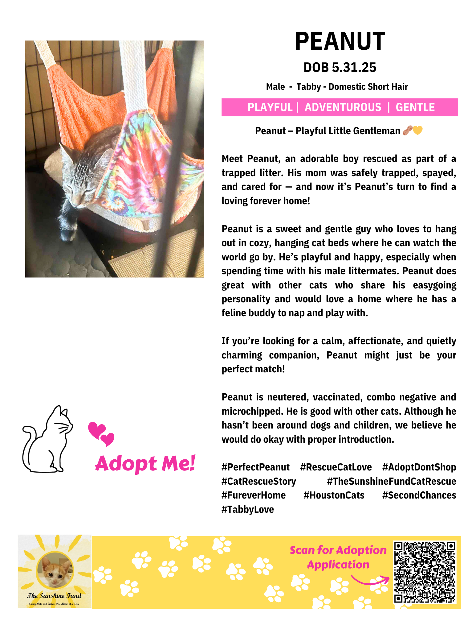 OFFICIAL_Cat Bios for Lounge_TSF.zip - Peanut.png