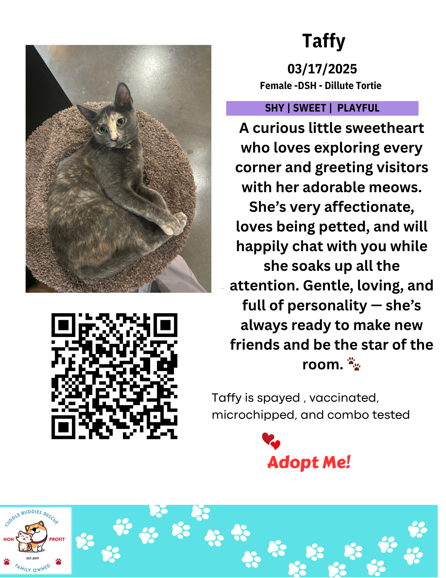 Cat Bios for Lounge CBR.zip - blanco.png