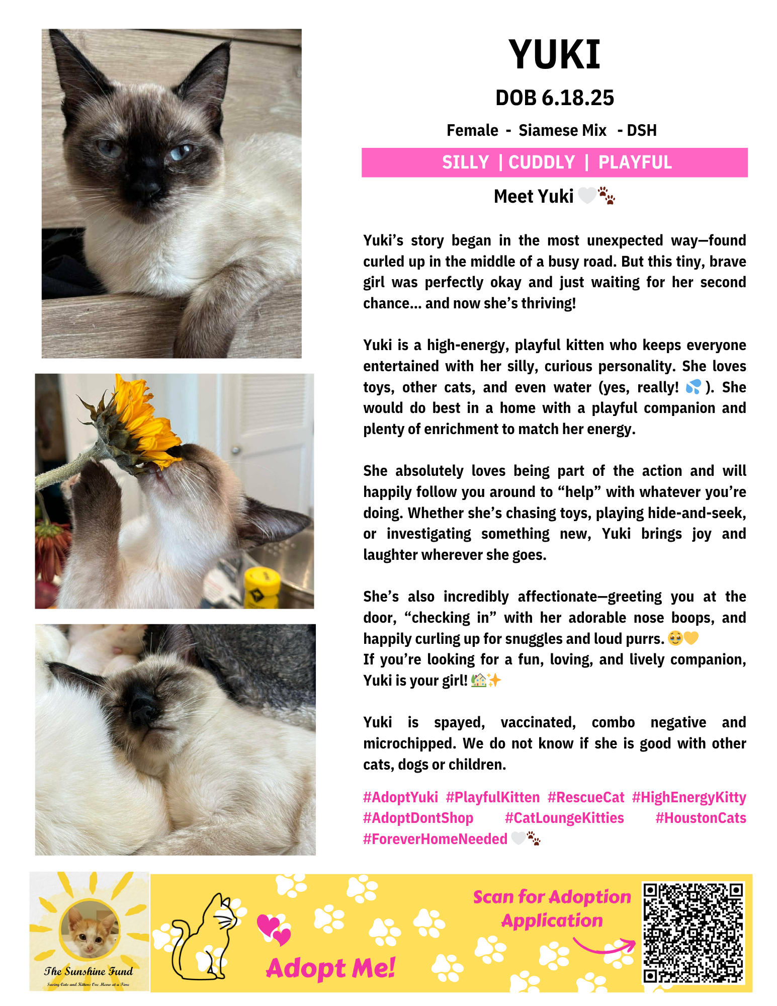 OFFICIAL_Cat Bios for Lounge_TSF - Yuki.png