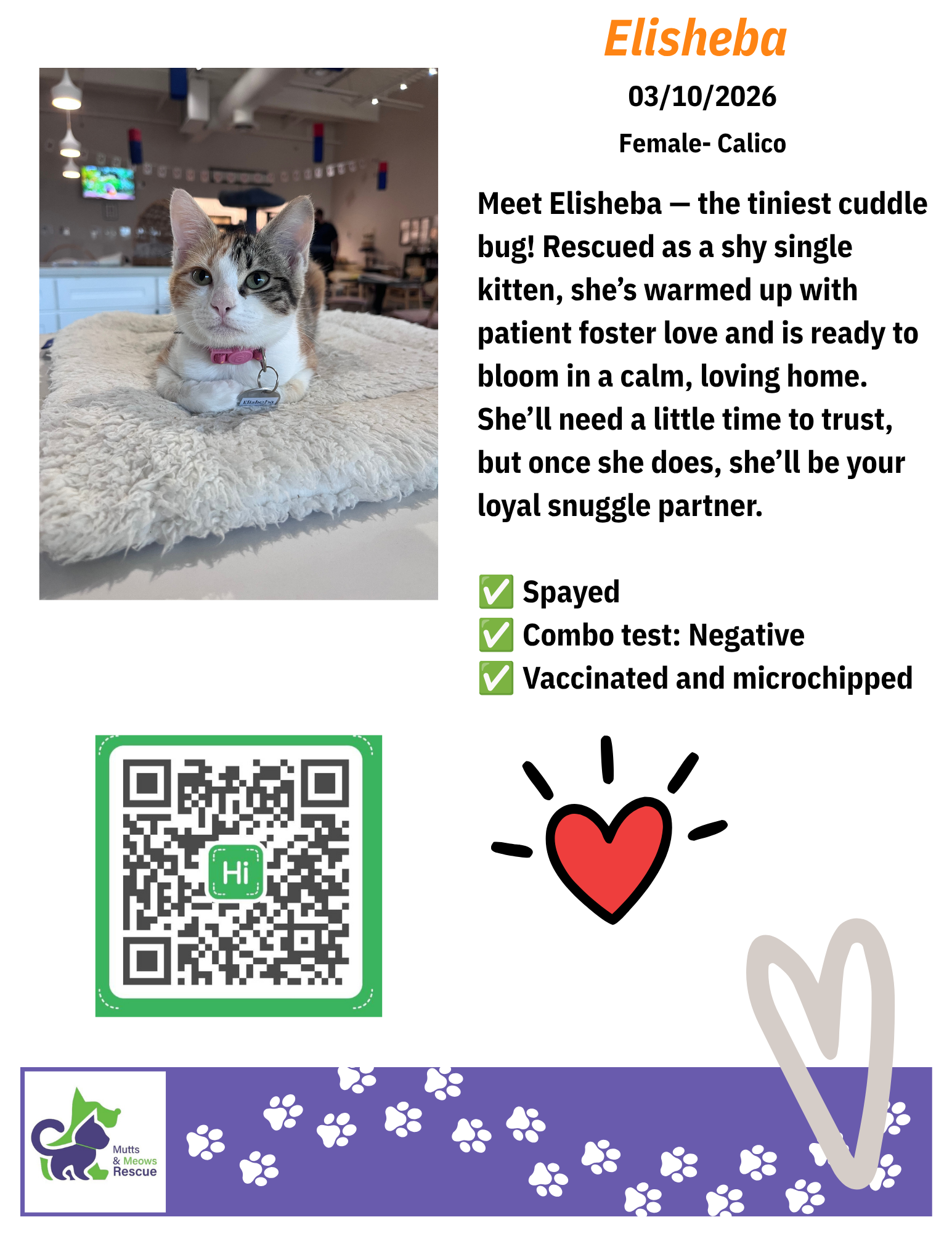 MMR Cat Bios for Lounge - Elisheba.png