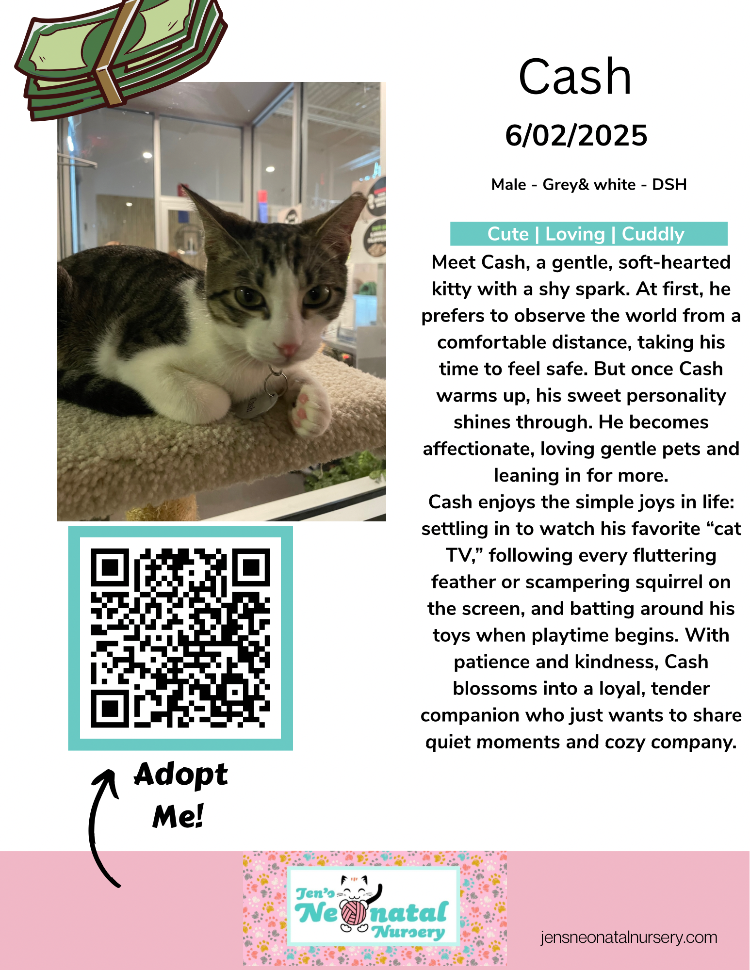 Cat Lounge Bios for JNN - 4.png