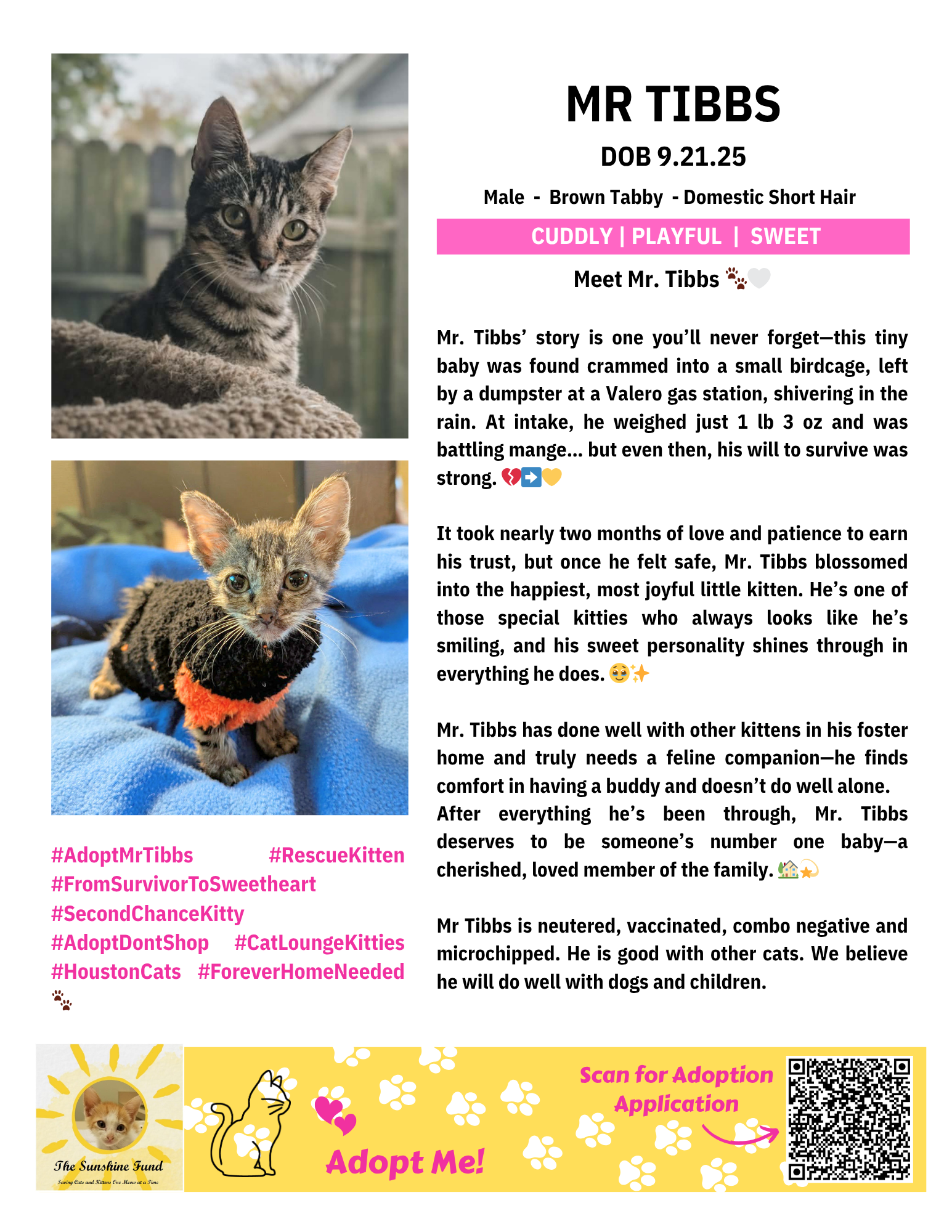 OFFICIAL_Cat Bios for Lounge_TSF - Mr Tibbs.png