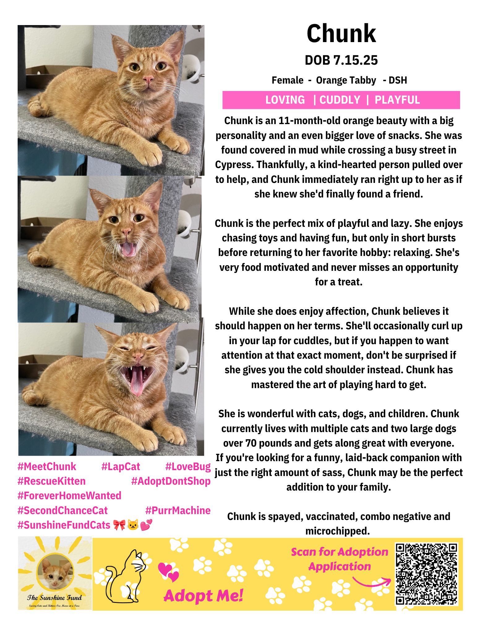 OFFICIAL_Cat Bios for Lounge_TSF - Chunk.png
