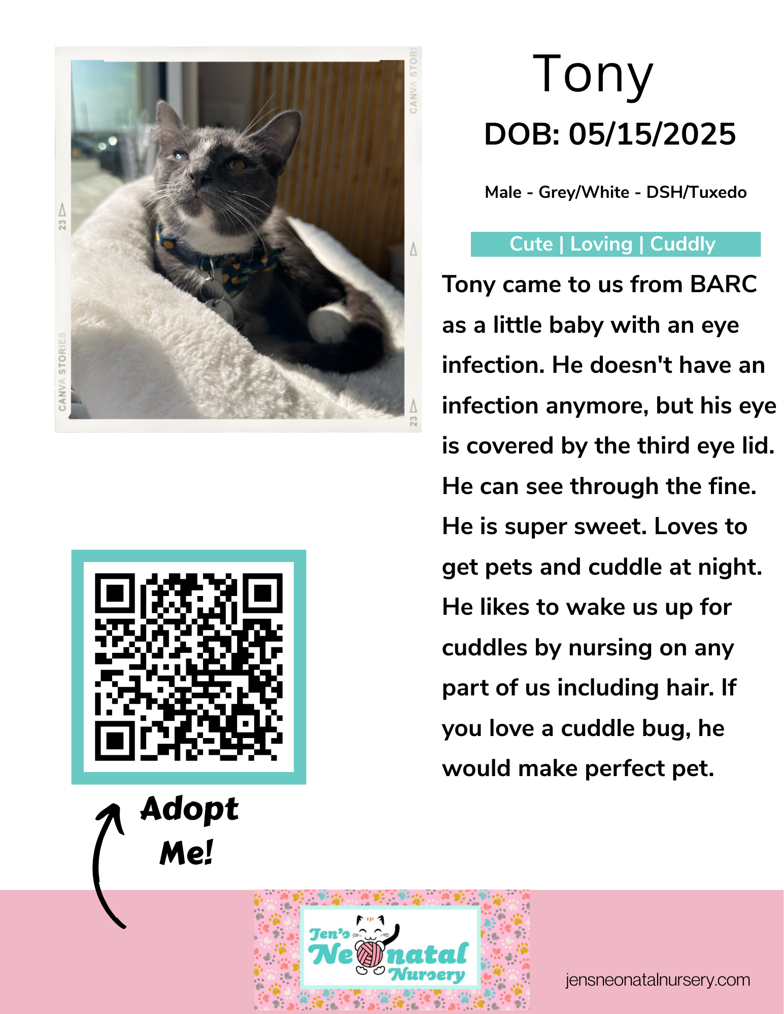 Cat Lounge Bios for JNN-2.png