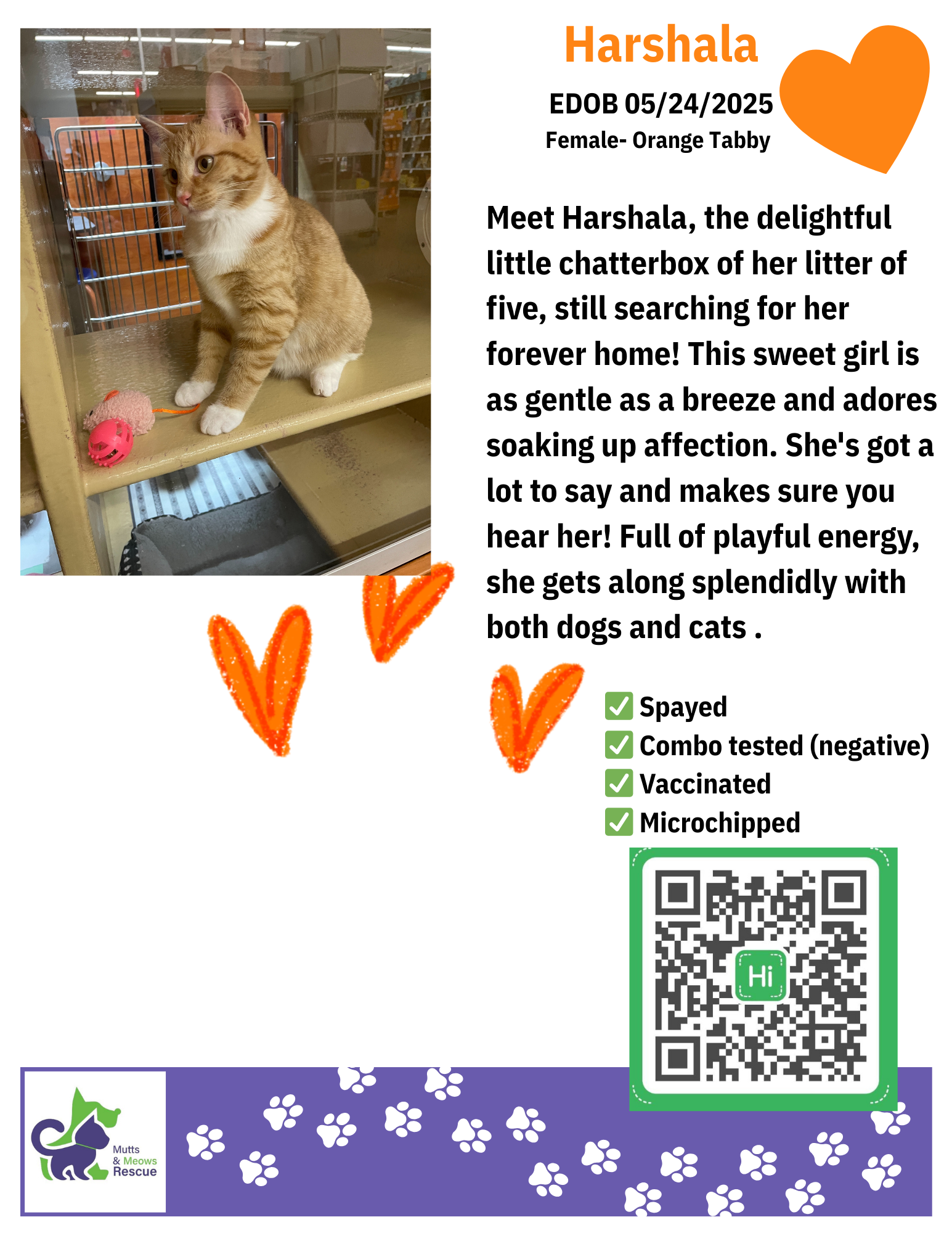 MMR Cat Bios for Lounge - Harshala.png