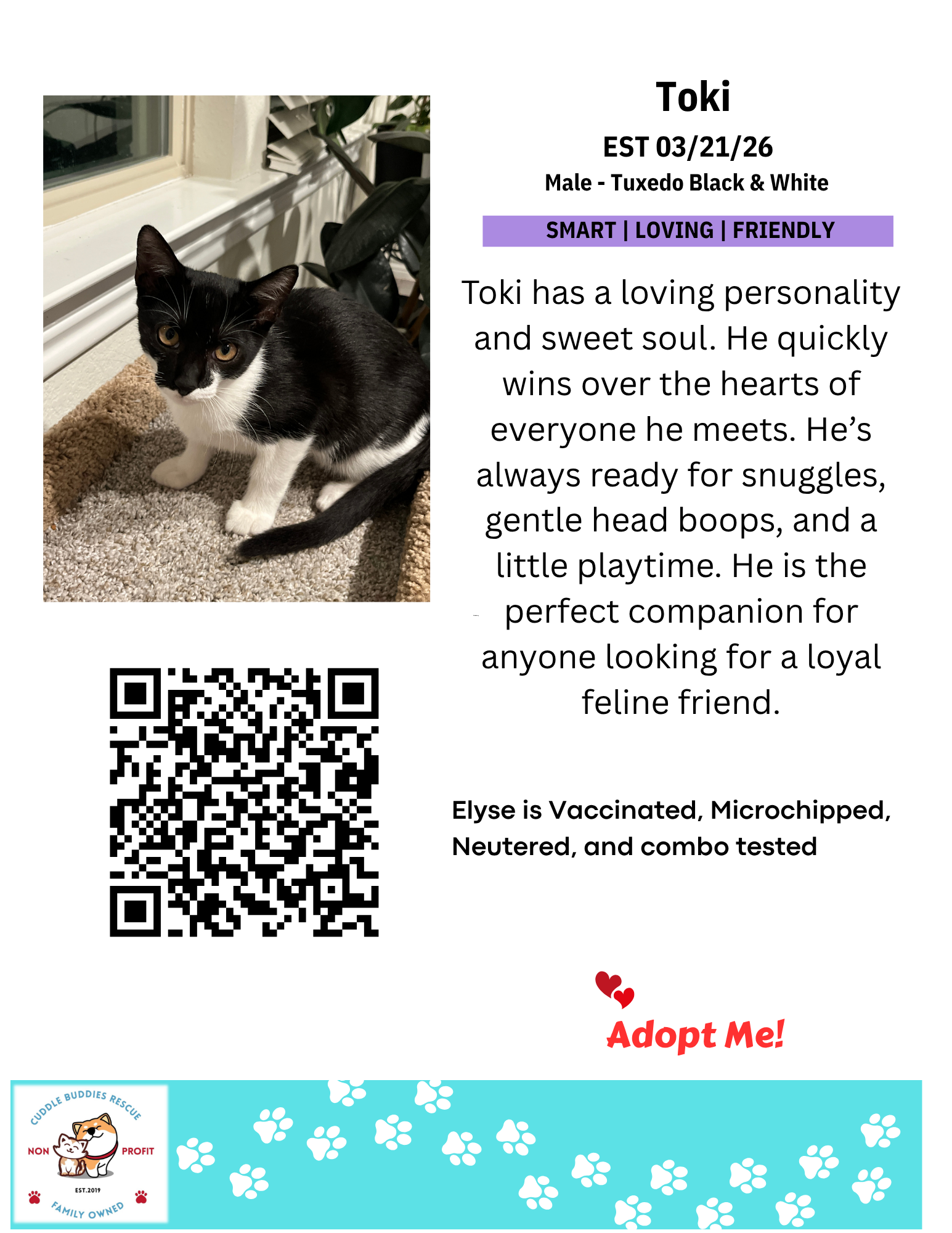 toki.png