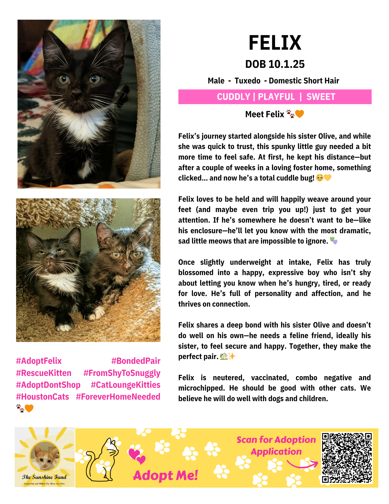 OFFICIAL_Cat Bios for Lounge_TSF - Felix.png