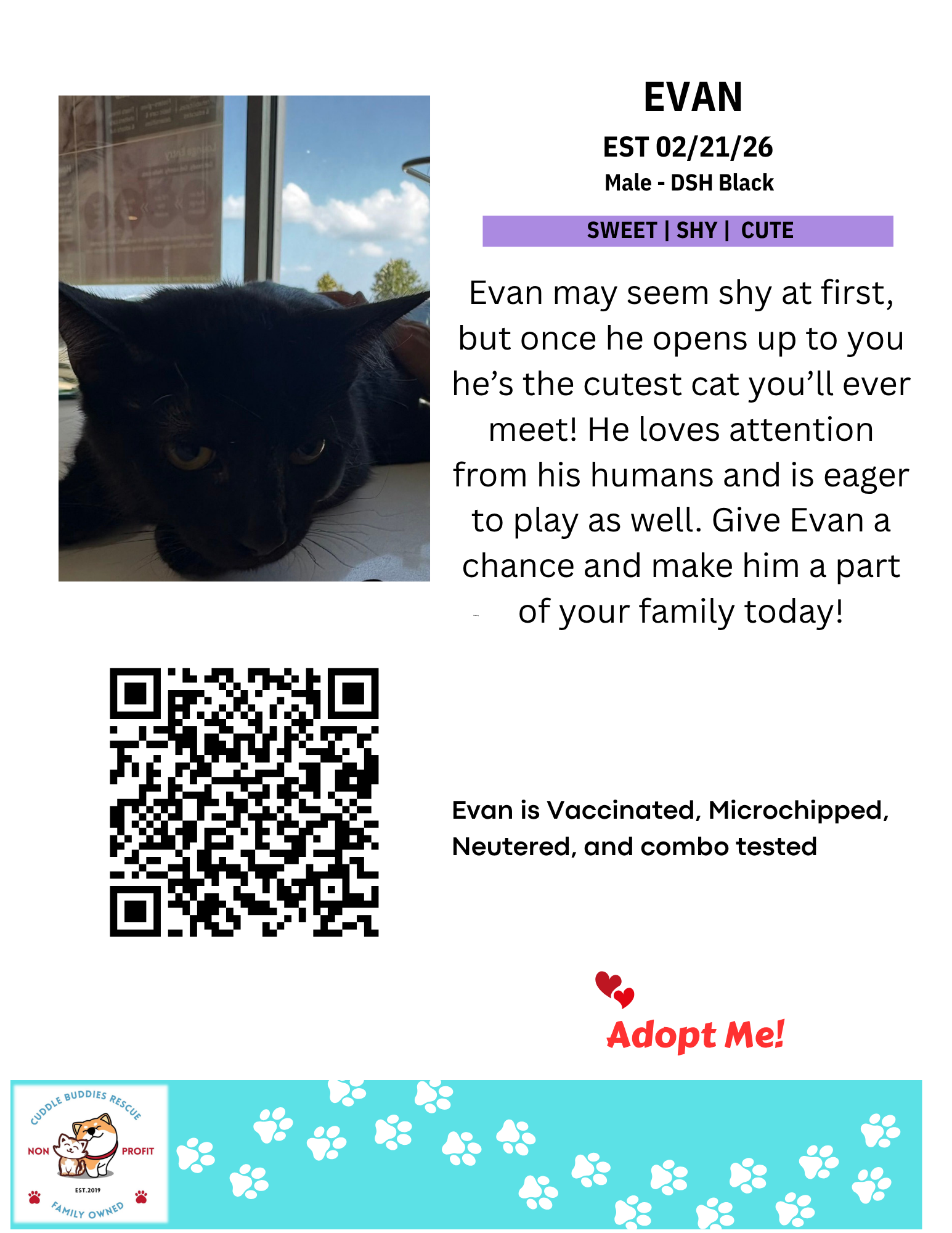 Cat Bios for CBR - TEMPLATE CBR (2).png
