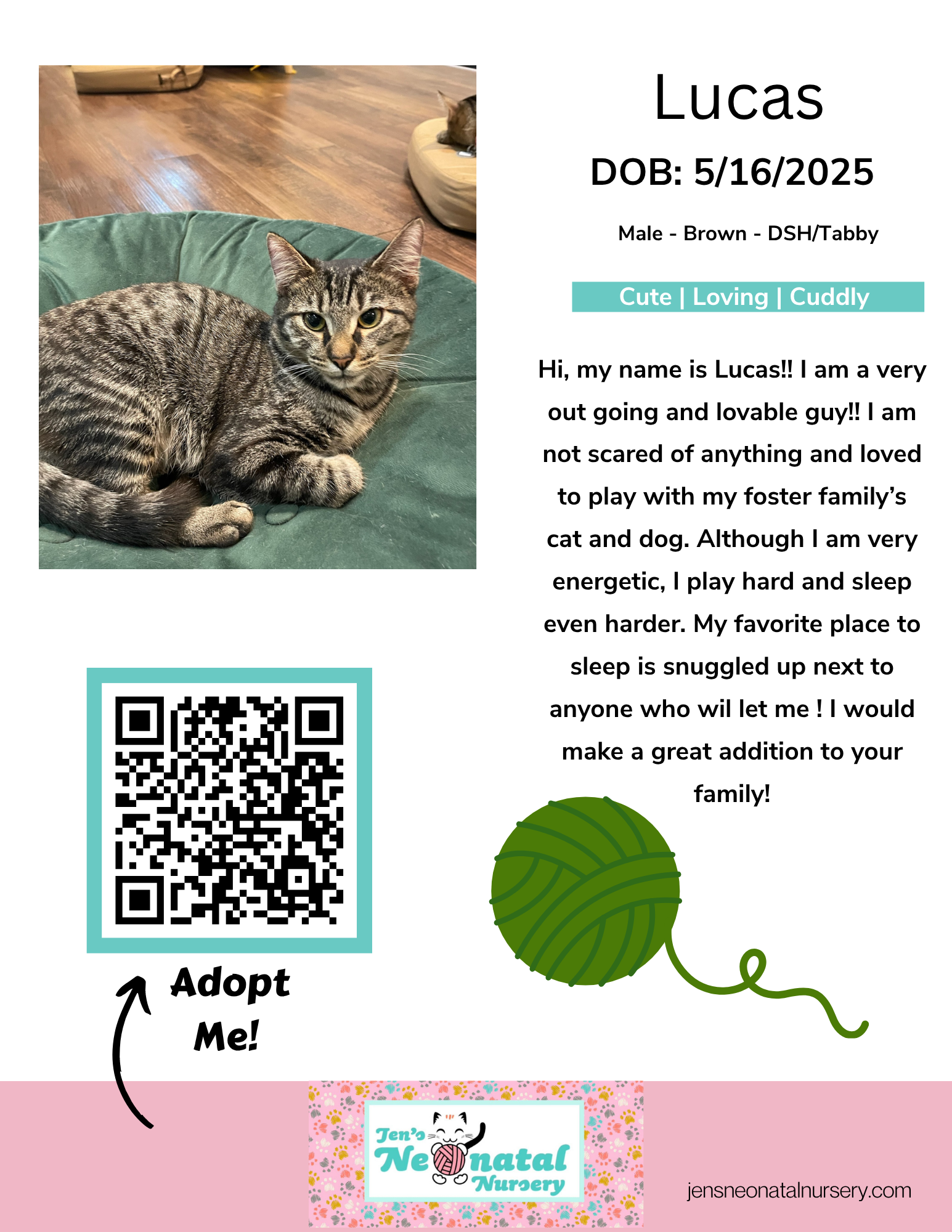 Cat Lounge Bios for JNN.zip - 1.png