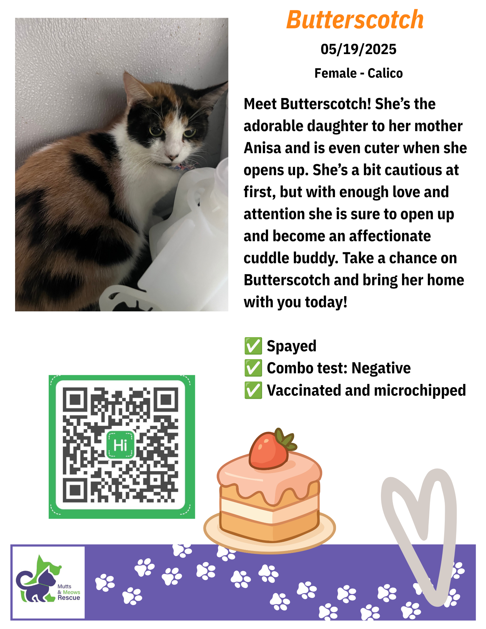 MMR Cat Bios for Lounge - Butterscotch.png