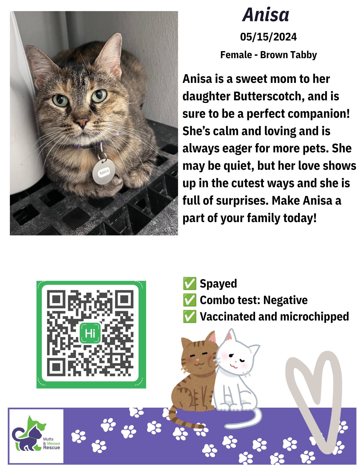 MMR Cat Bios for Lounge - Anisa.png