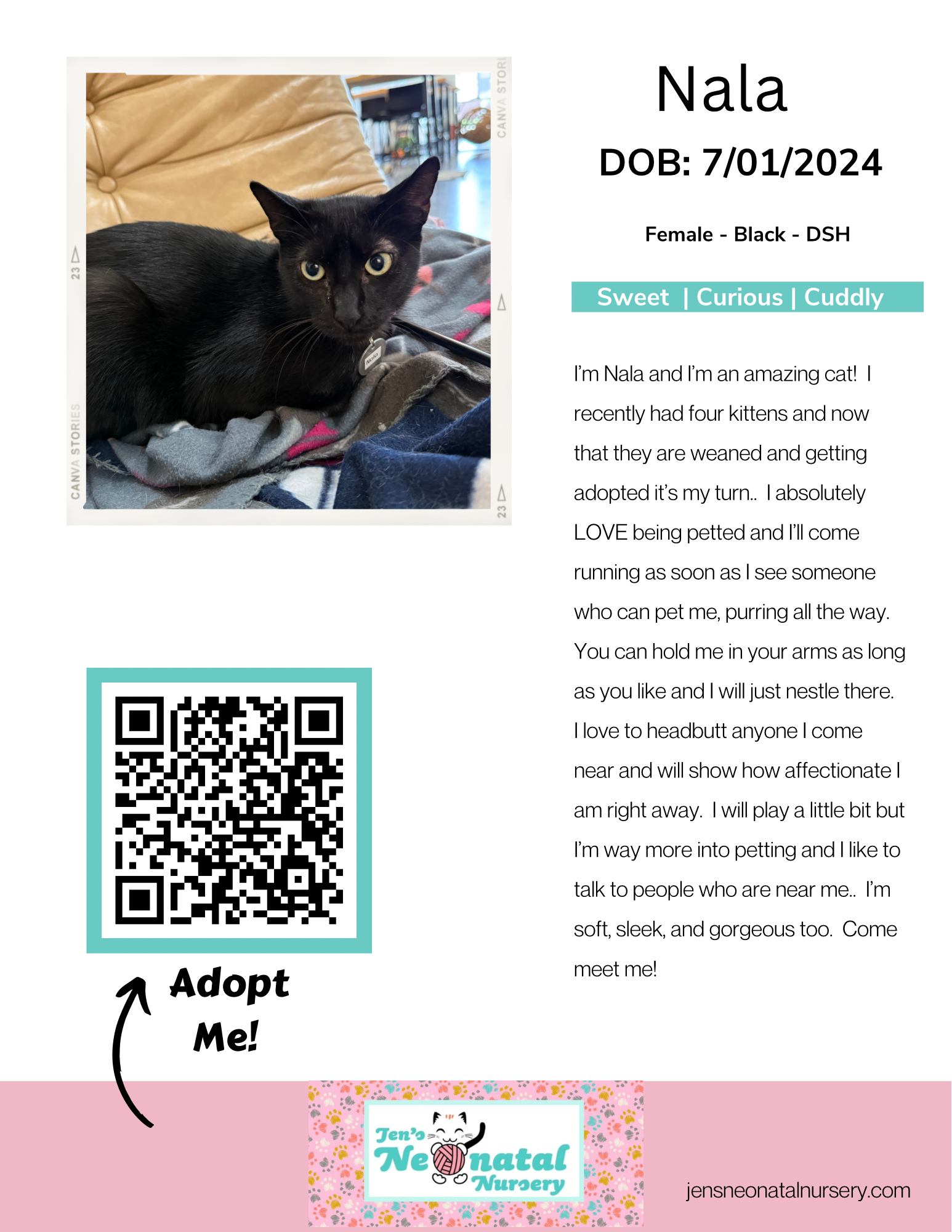 Cat Lounge Bios for JNN - nala.png