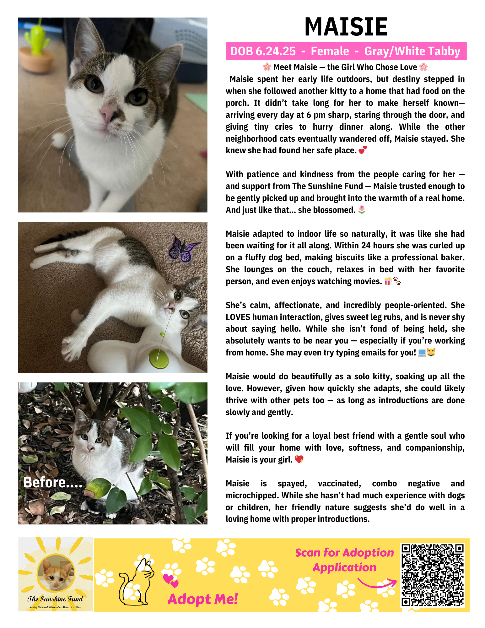 OFFICIAL_Cat Bios for Lounge_TSF - Maisie.png