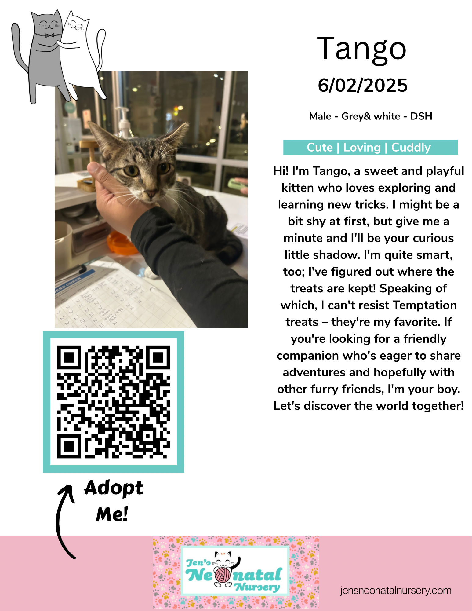 Cat Lounge Bios for JNN - 3.png