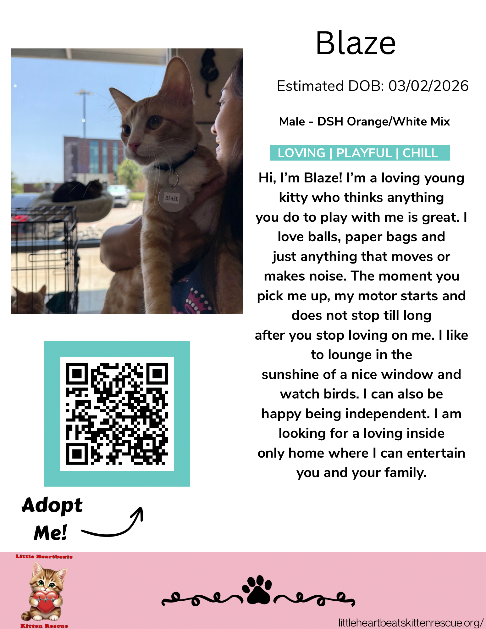 LHK_Cat Lounge Bios - Blaze.png