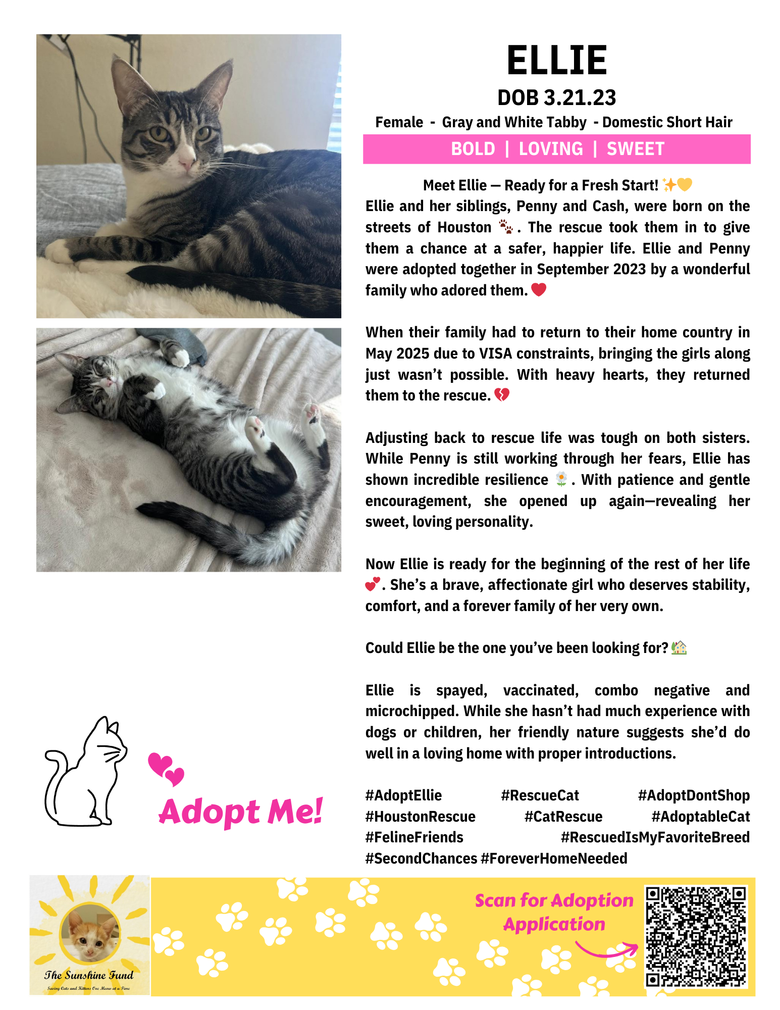 OFFICIAL_Cat Bios for Lounge_TSF - Ellie.png
