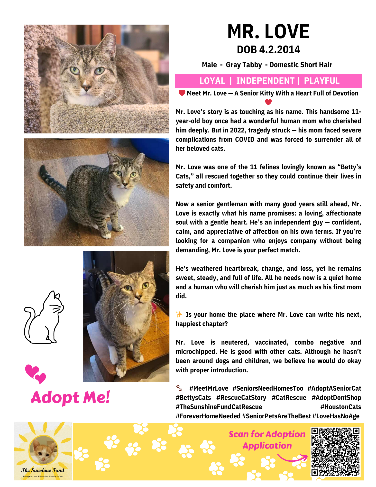 OFFICIAL_Cat Bios for Lounge_TSF - Mr. Love.png