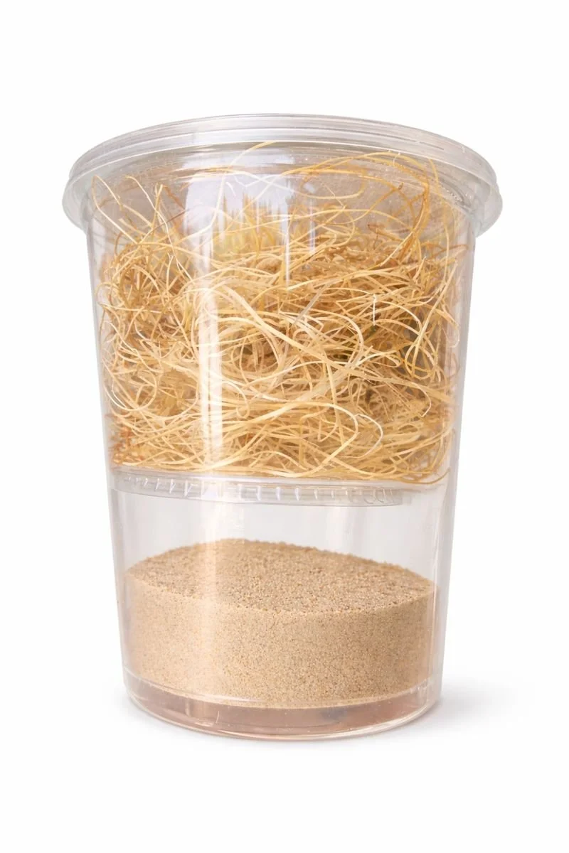 ChatGPT Image Jan 16, 2026 at 03_27_15 PM.png