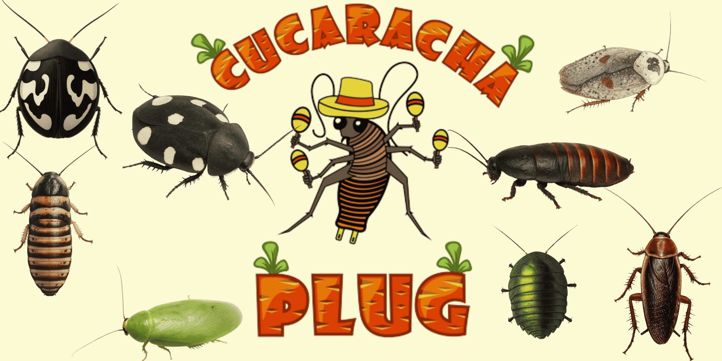 2026 Tentative Reptile Expo Schedule