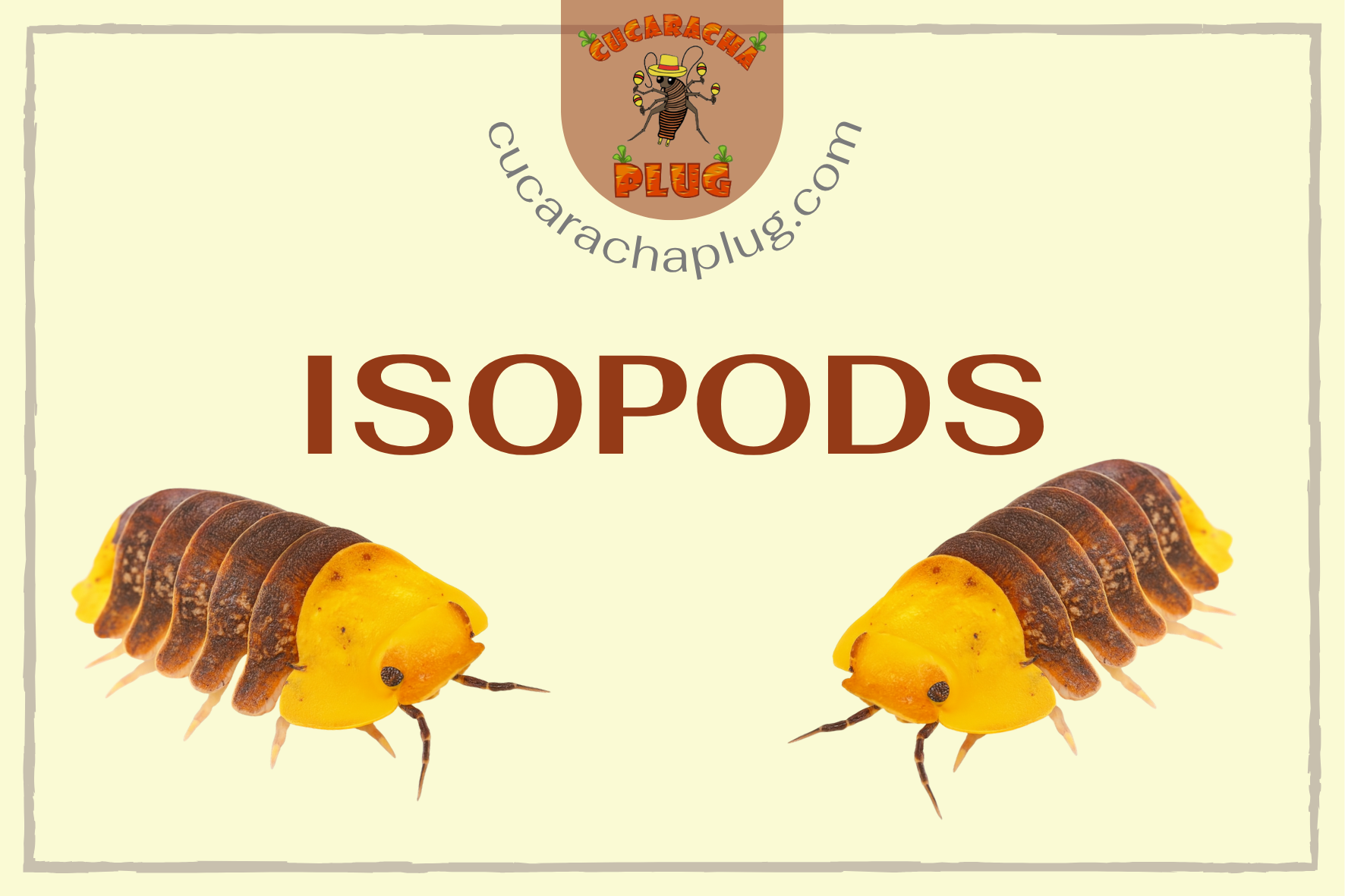 Isopods