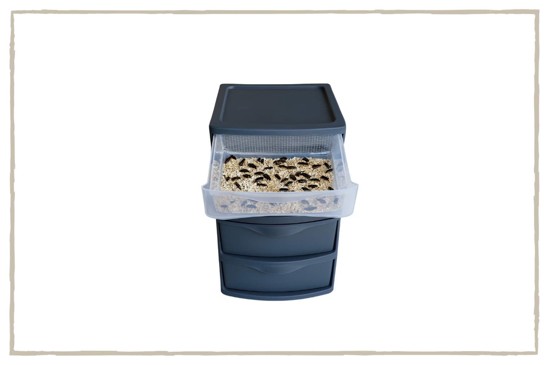 Blue and Green Blueberry Rustic Organic Food Label Rectangle Sticker-11.png