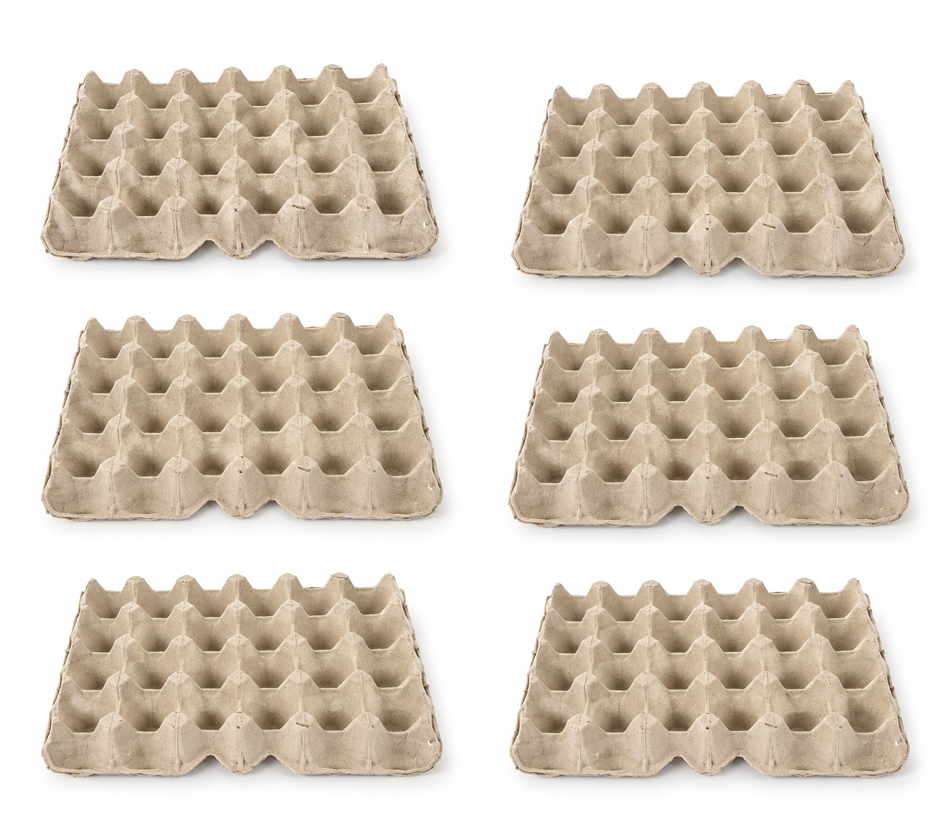 Egg Cartons — Shelter & Grip for Feeder Insects