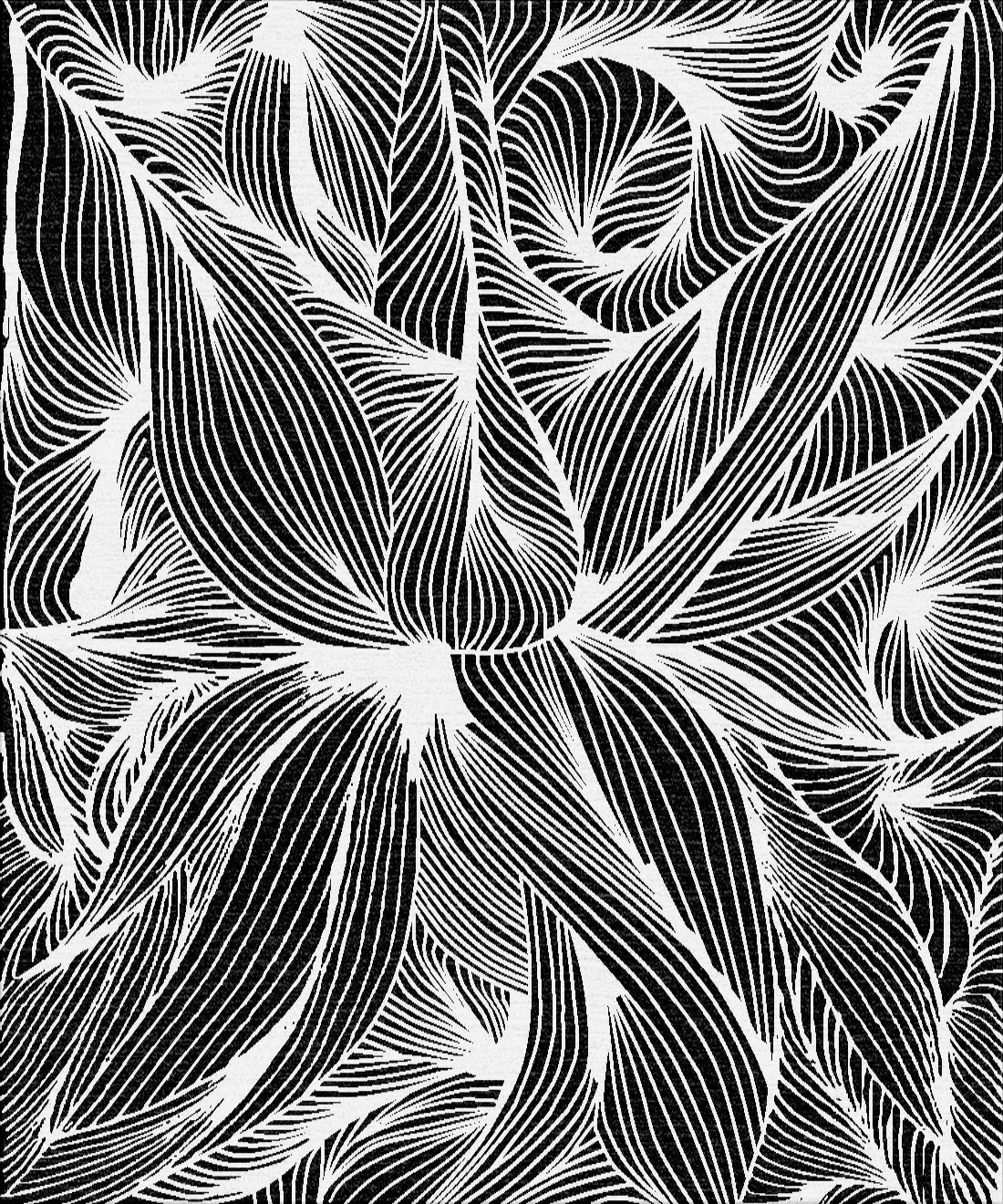 PC - DD - 01 - A copy.jpg