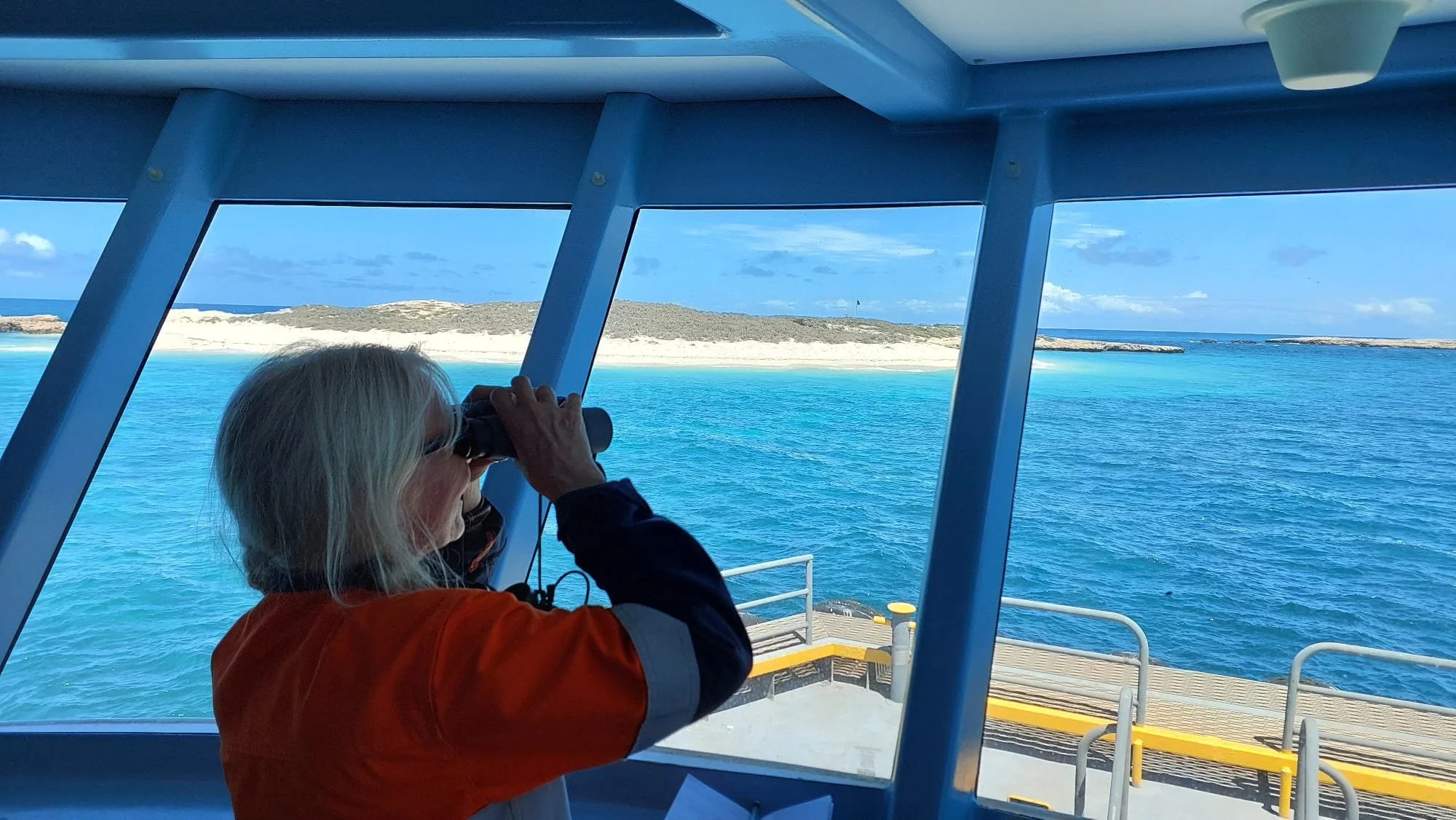 LN_SeabirdScope_Lowendals_2025.jpg