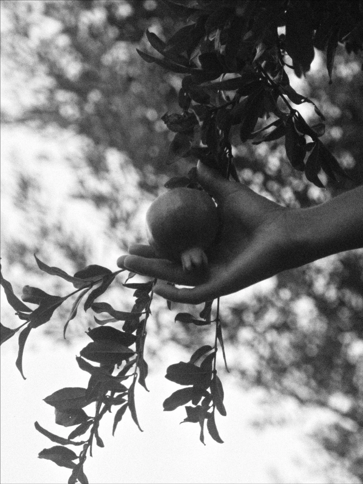 Summer you were good to us! Some more moments with my sisters on film 🎞️ 🍎🌊