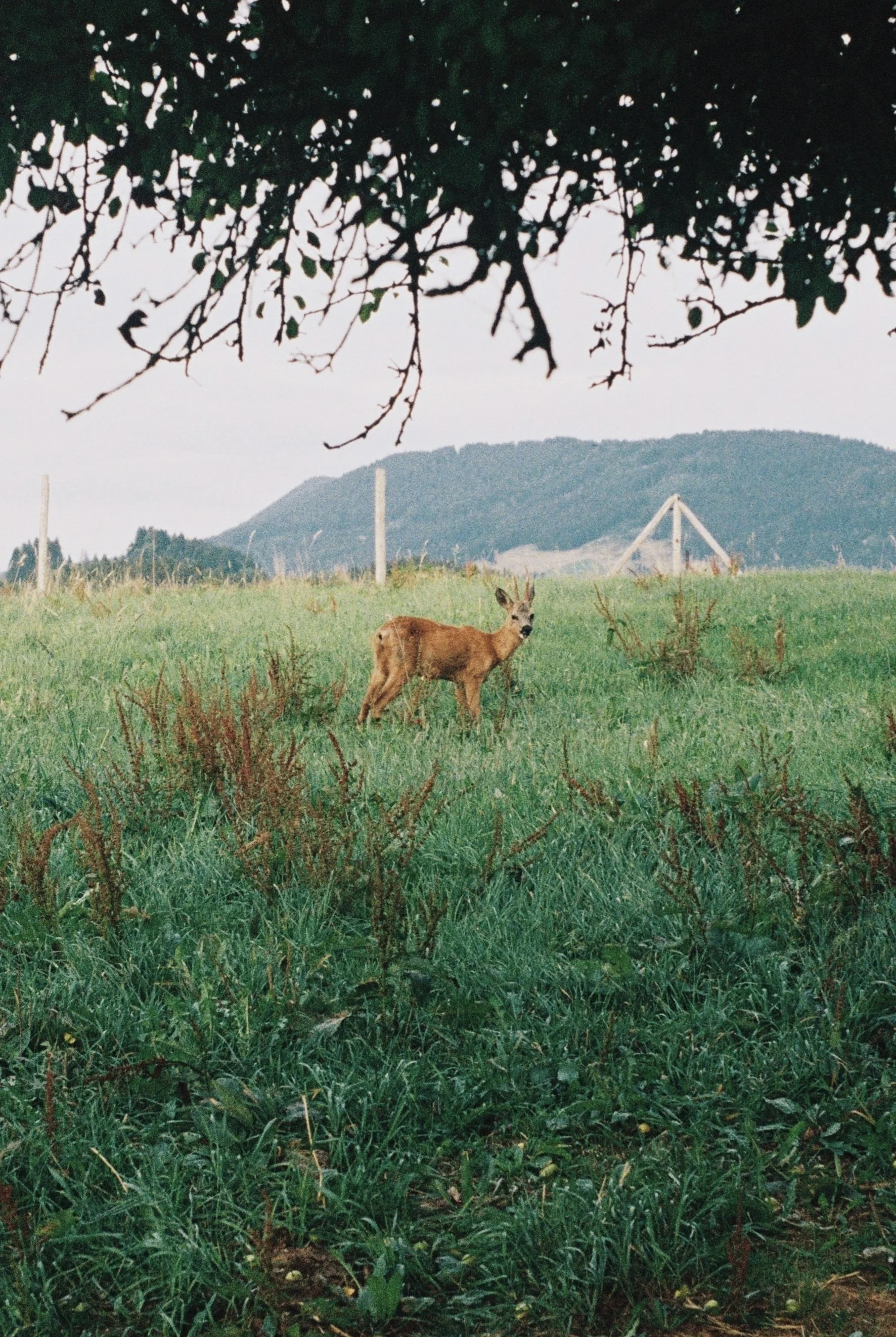 FullSizeRender_VSCO 18.jpg