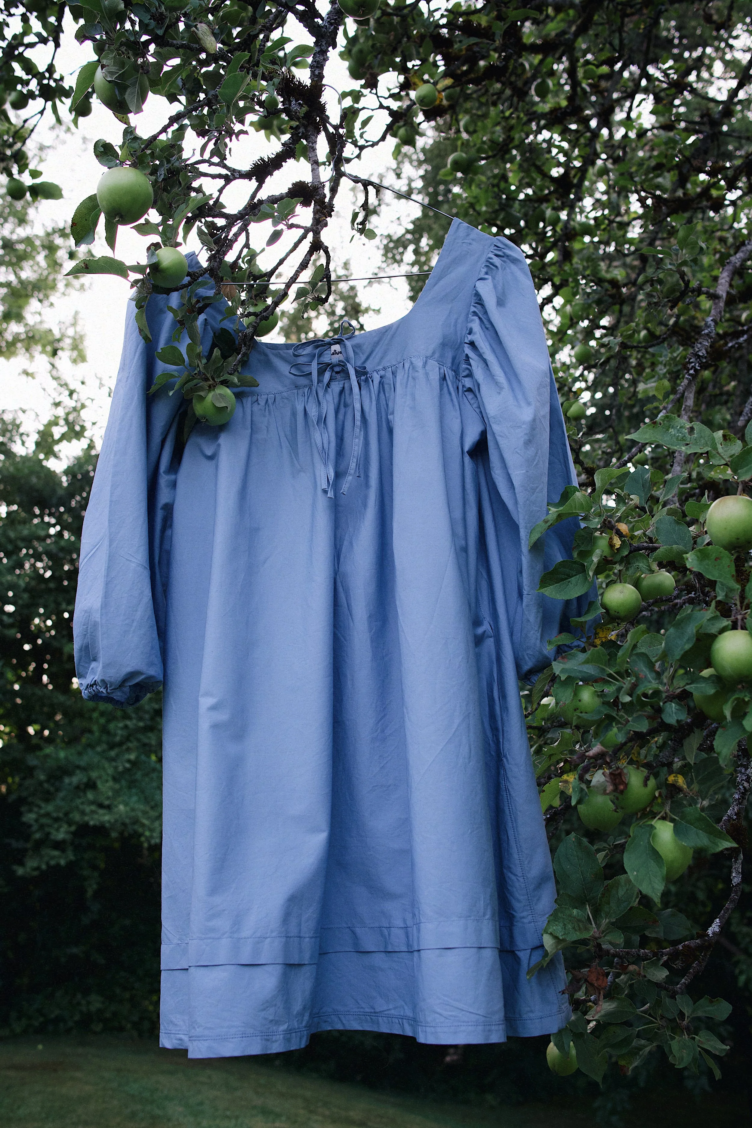 The Meadow Dress - coming soon