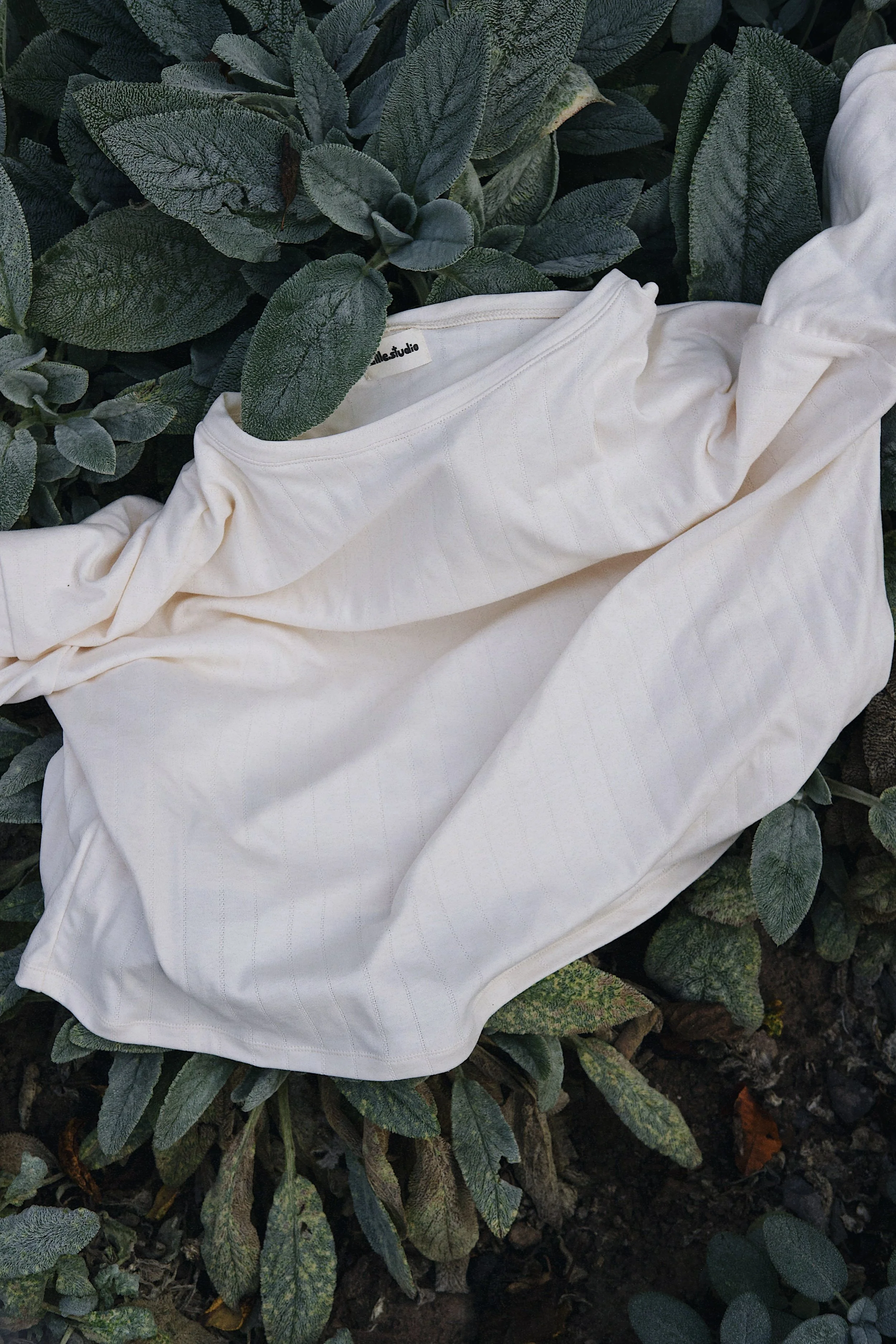_DSF0126_VSCO.jpg