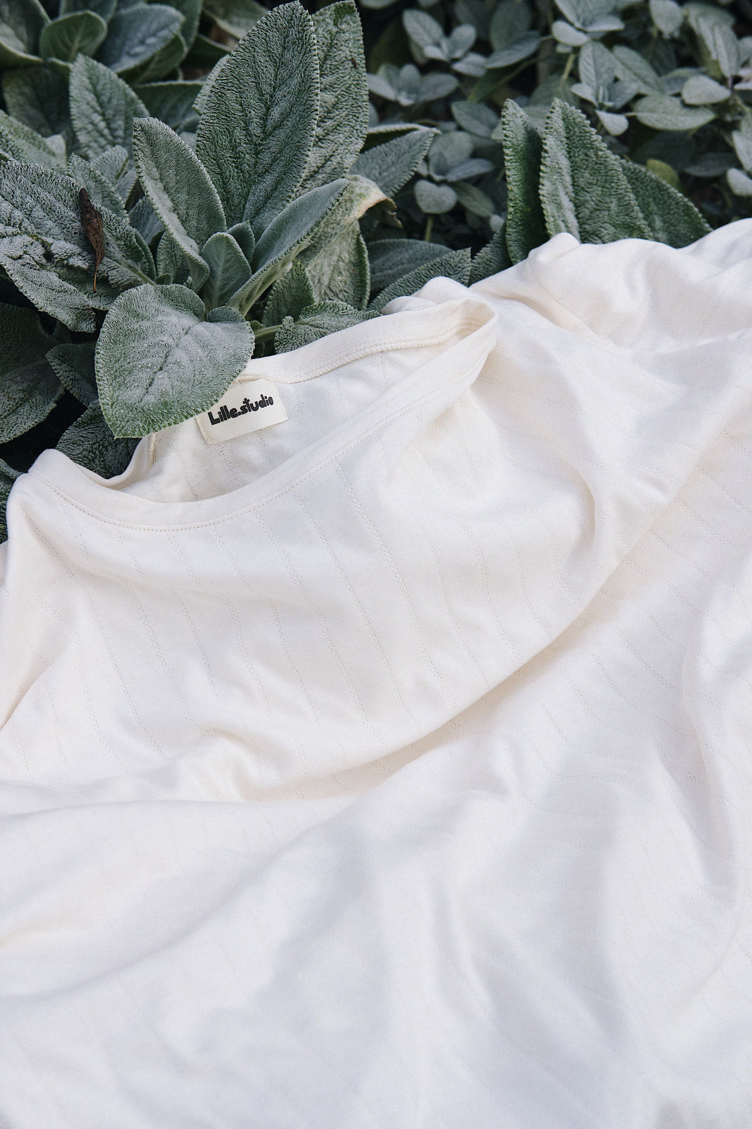 The Pointelle Shirt