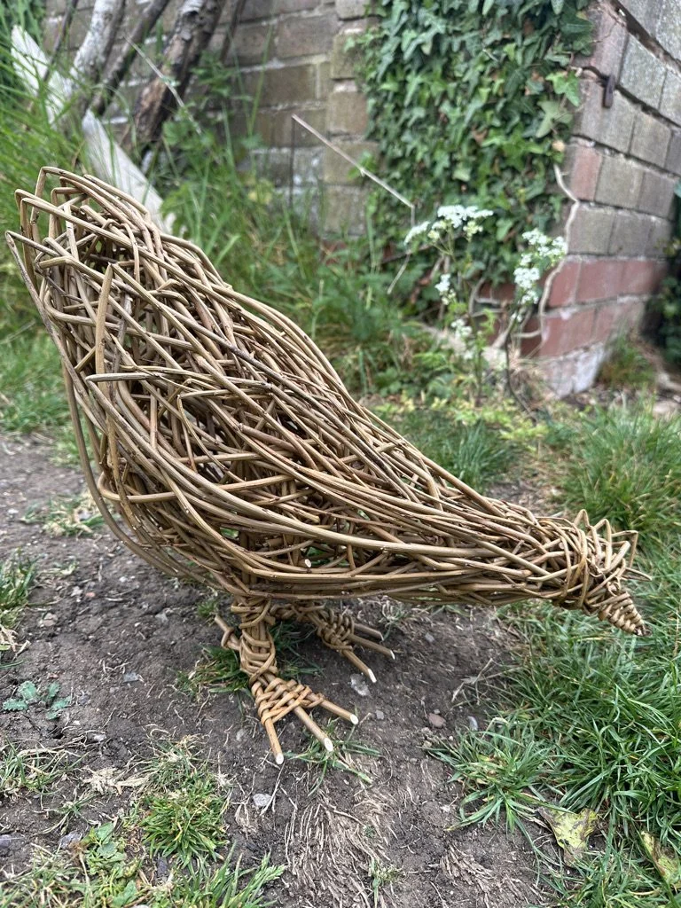 D01598CC-8B02-4D13-97B0-2028E6480EE7_1_105_c.jpeg (Copy)