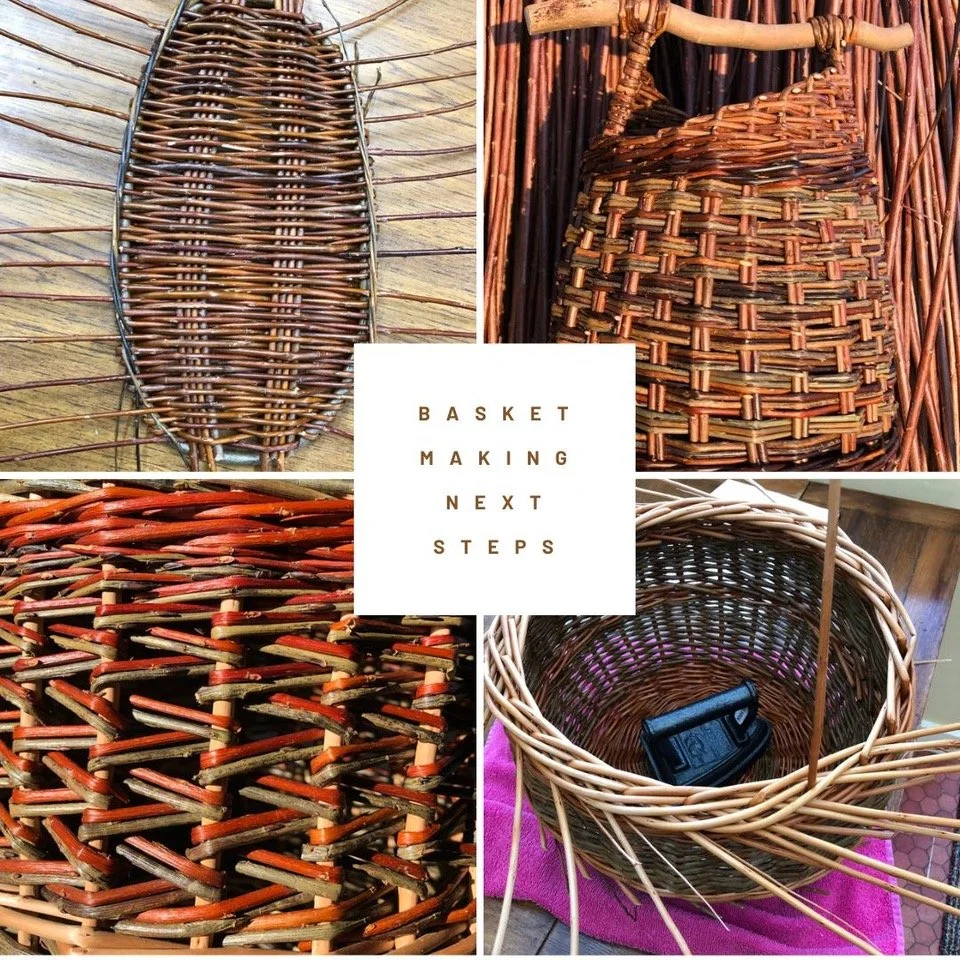 Basket Club - Progressive IMPROVERS / NEXT STEPS Course  3 hours per week , Friday afternoons 18th September - 9th October (Copy)