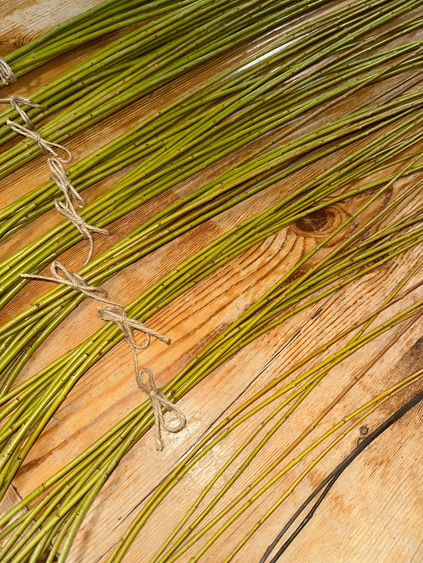 The moment you&rsquo;ve all been waiting for&hellip; 

Thank you to everyone who took part in this year&rsquo;s &lsquo;Guess the Number of Willow Rods from One Plant&rsquo; competition.  I&rsquo;m delighted that you all take this as seriously as I do