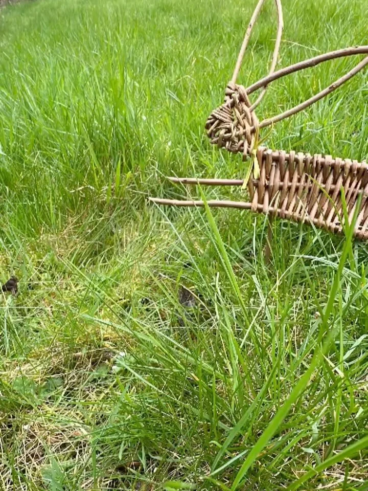 Happy Easter everyone! 🐰 
Wishing you a day filled with sunshine, fresh air and springtime inspiration. 
#easterbunny #eastercraft #willowweaving #stopmotion