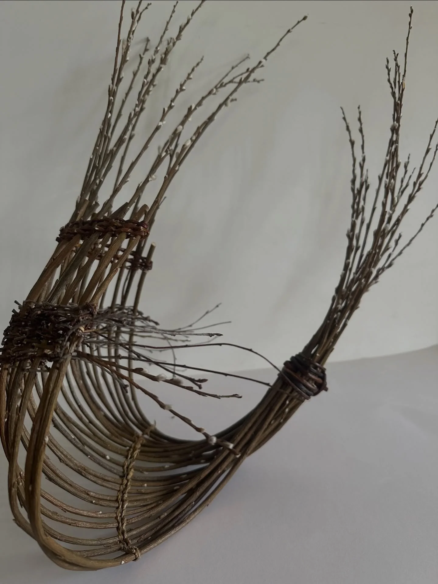 For many months, these pieces have quietly grown in the studio - shaped by the willow, time and the fleeting beauty of spring catkins.
Today I took them for their very first public outing to the Pool House Gallery at Fresh Air Sculpture.  I have to a