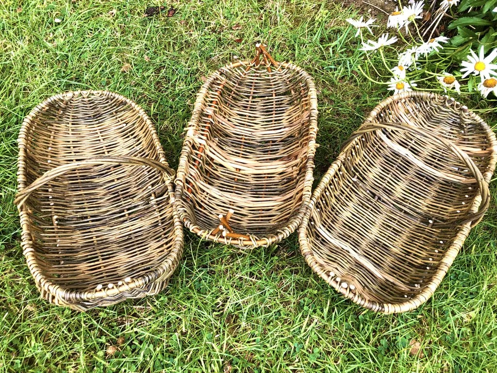 Willow Trug  11th  SEPTEMBER 2026,  FRIDAY