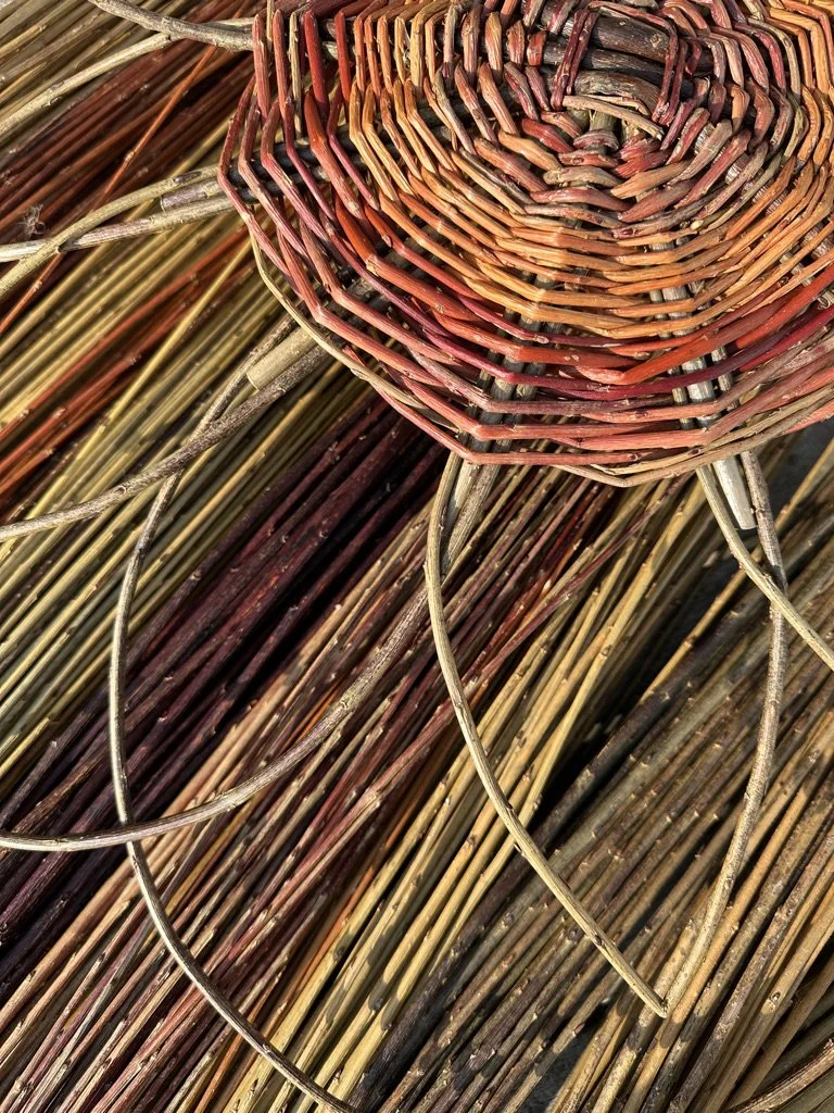 Giant Willow Flower 18th APRIL 2026, SATURDAY