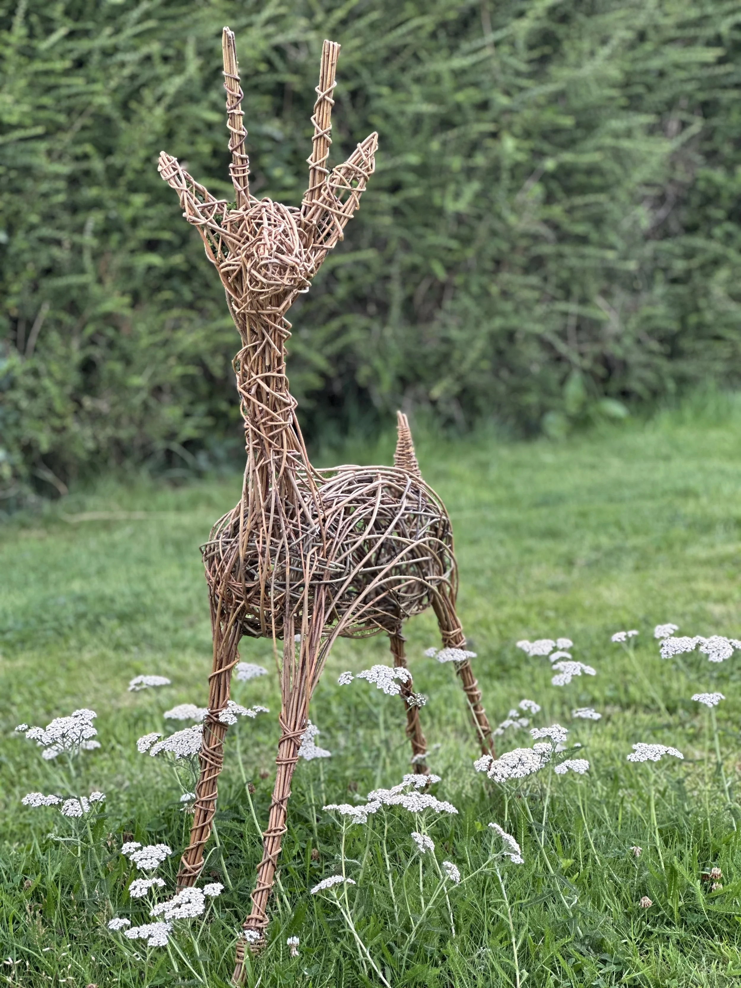 Willow Reindeer Sculpture  20th November, Friday 2026