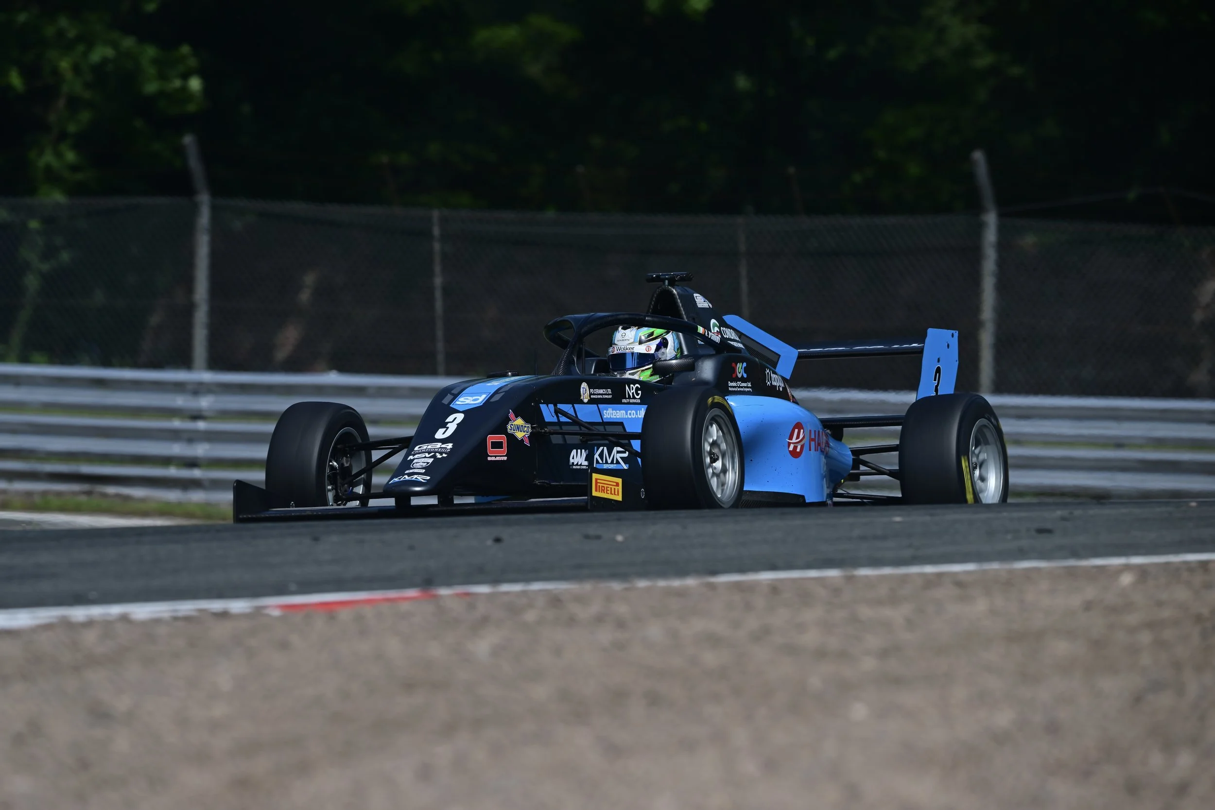 DSC_0202.JPG