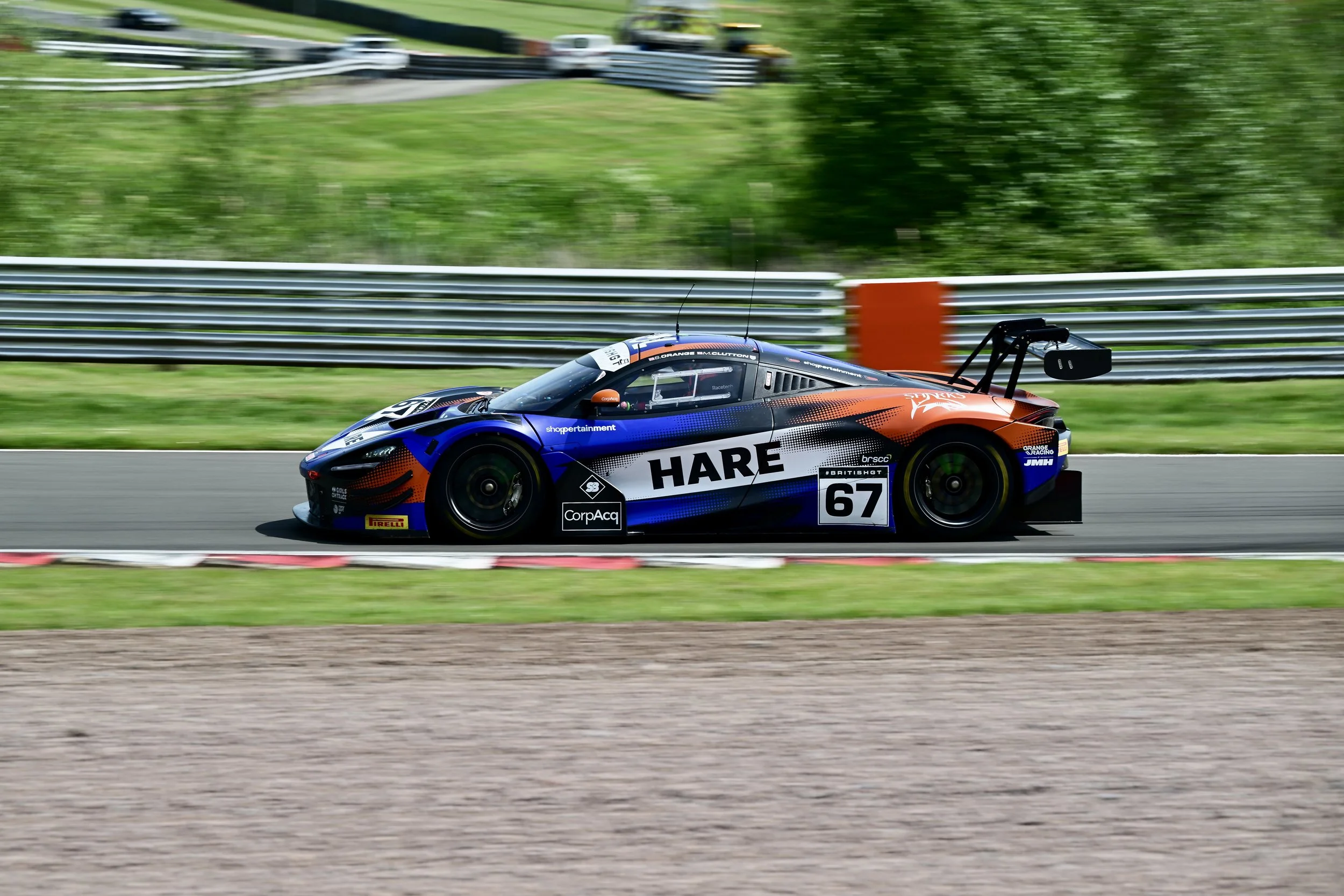 DSC_0809.JPG
