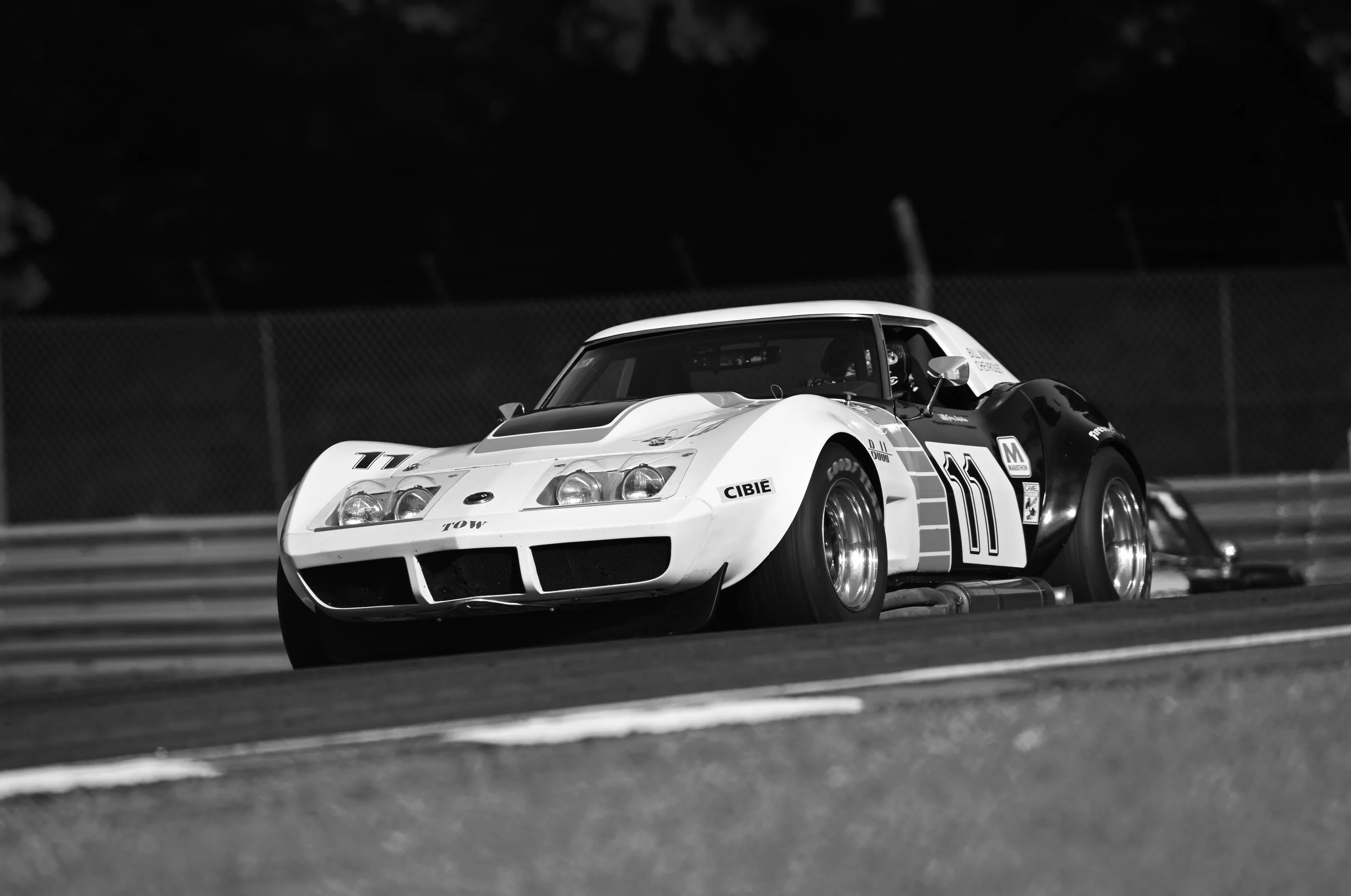 DSC_8565.JPG