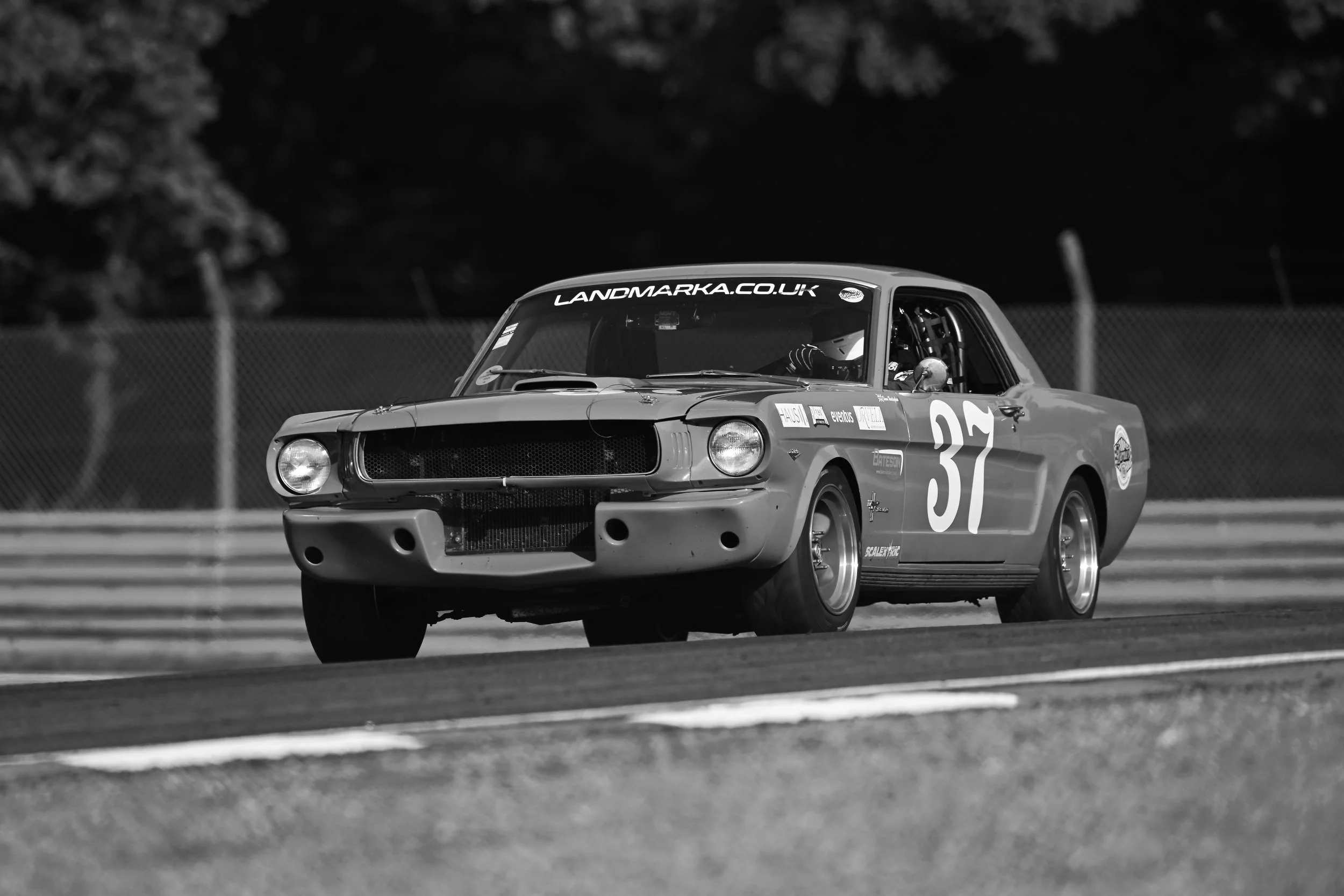 DSC_8555.JPG